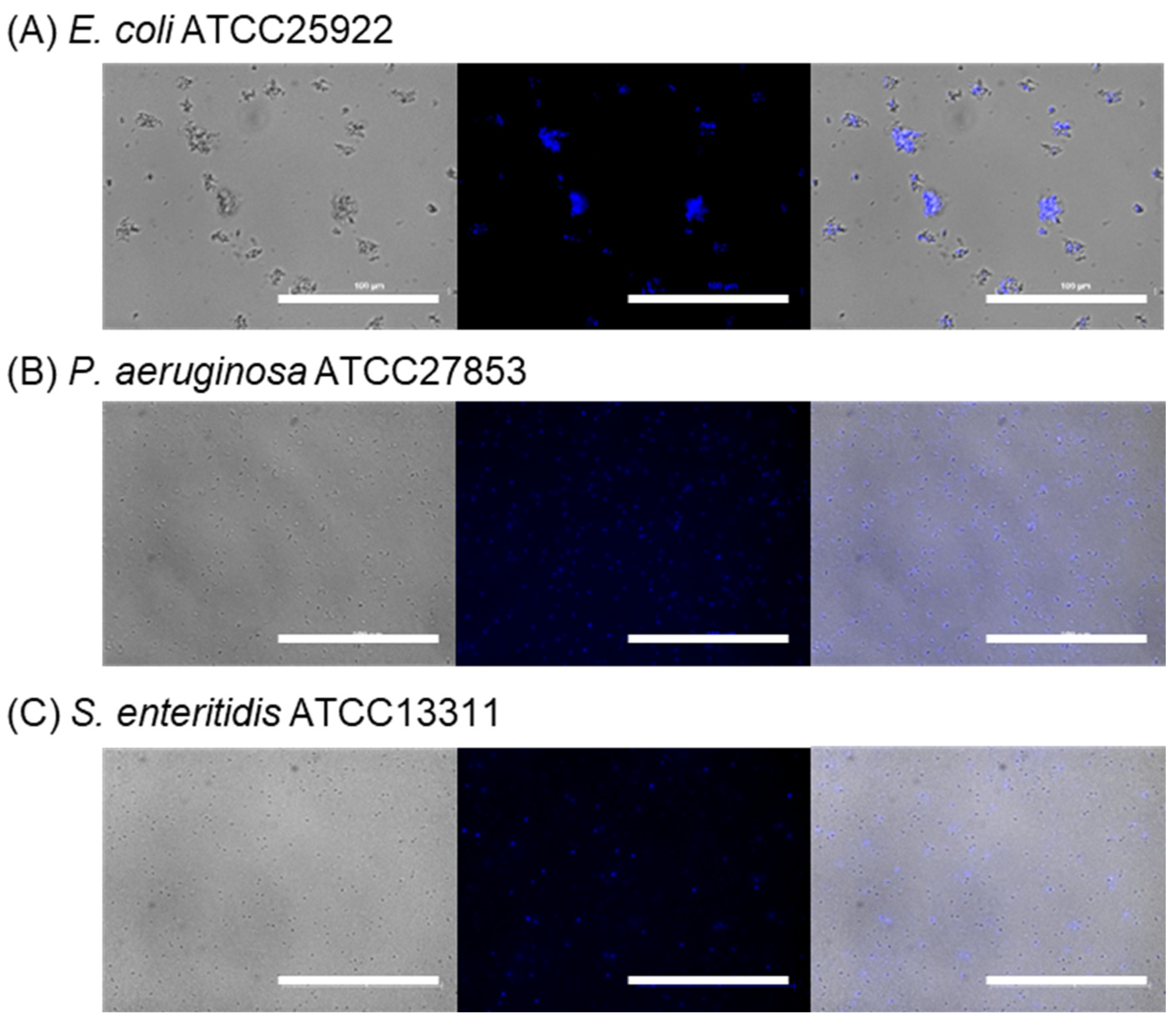 Molecules 28 01704 g010 Molecules 28 01704 g010