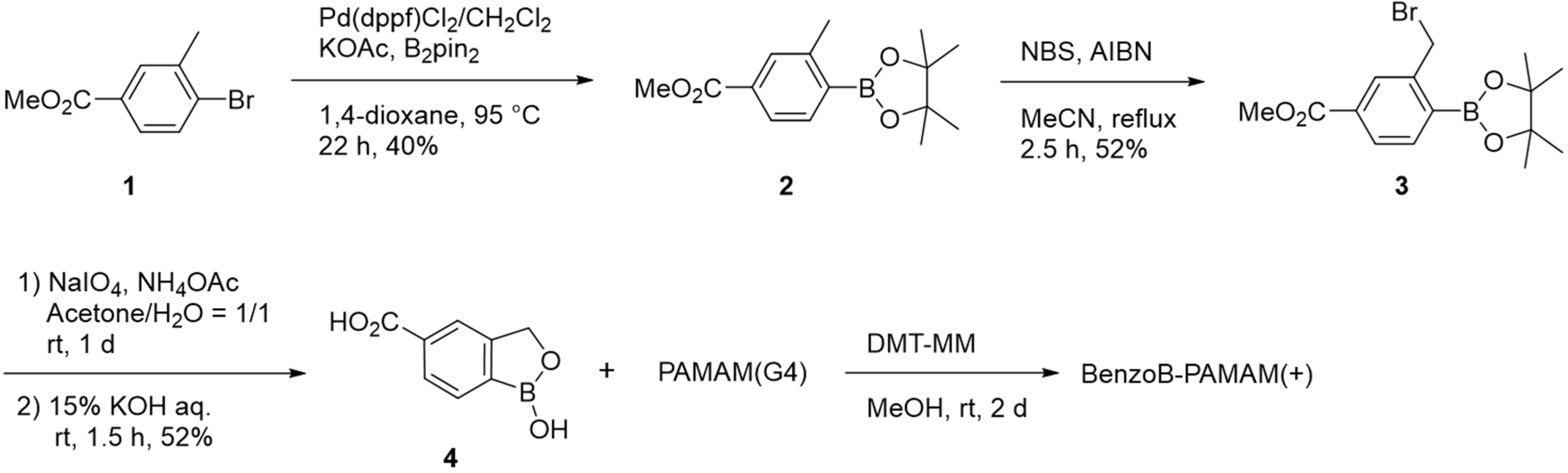 Molecules 28 01704 sch001 Molecules 28 01704 sch001