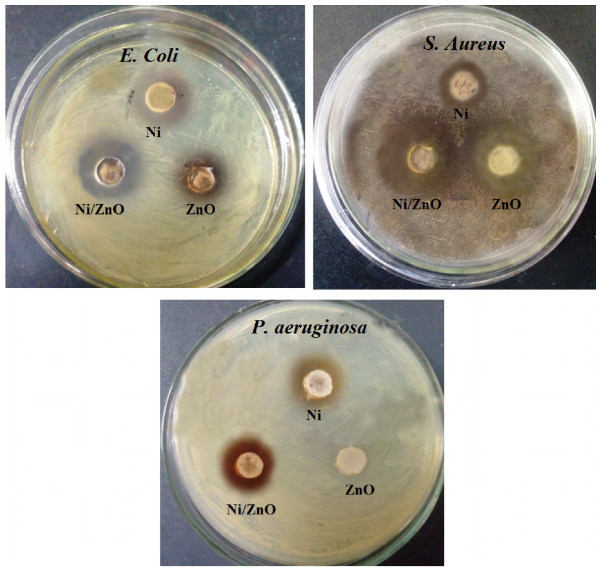 Molecules 28 01705 g007
