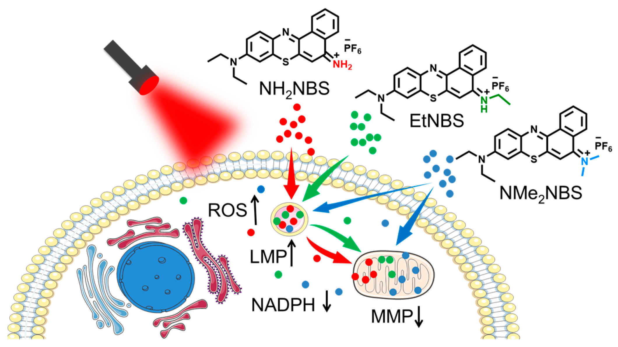 Molecules 28 01714 sch001 Molecules 28 01714 sch001