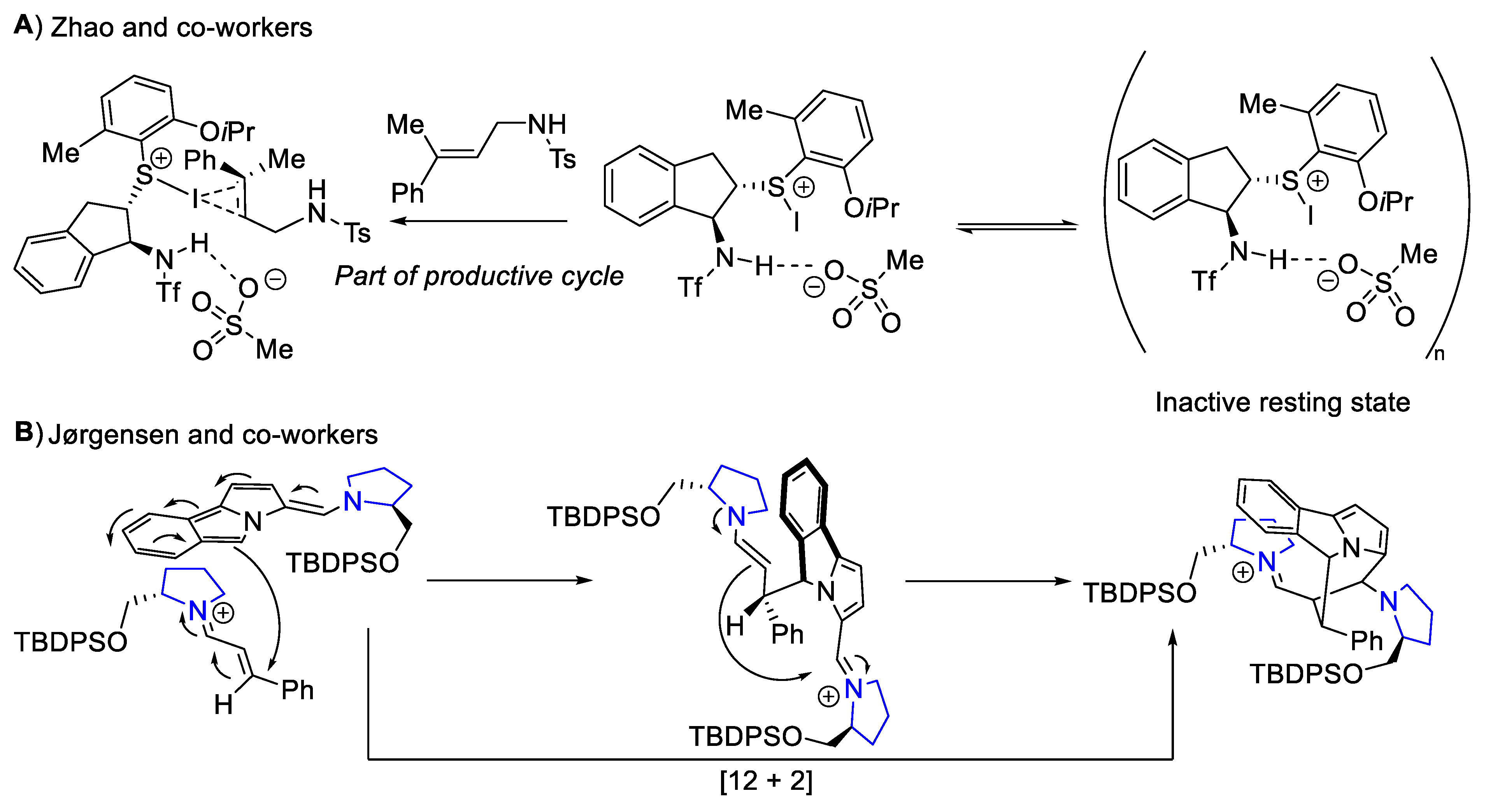 Molecules 28 01715 g011