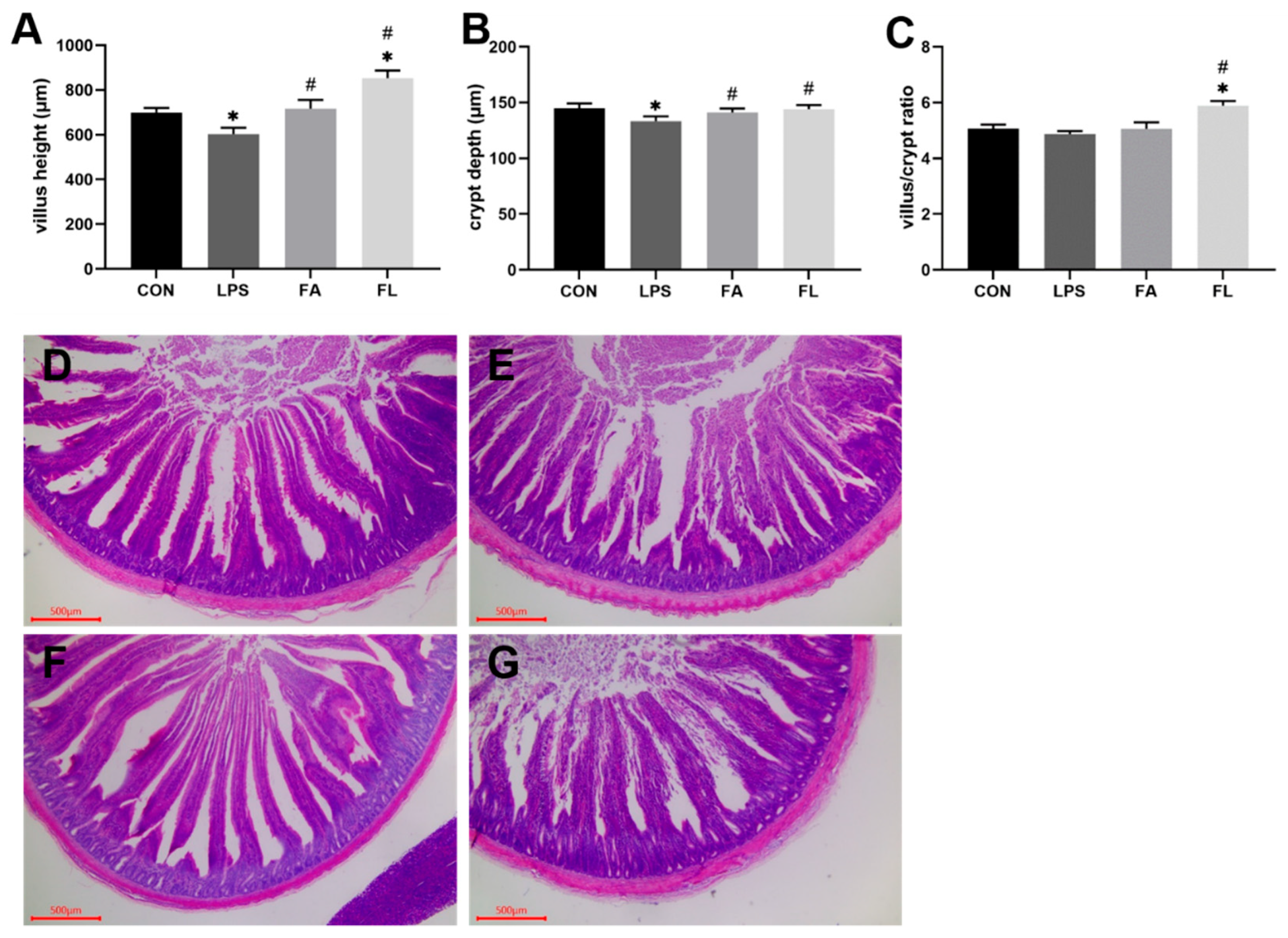 Molecules 28 01720 g001