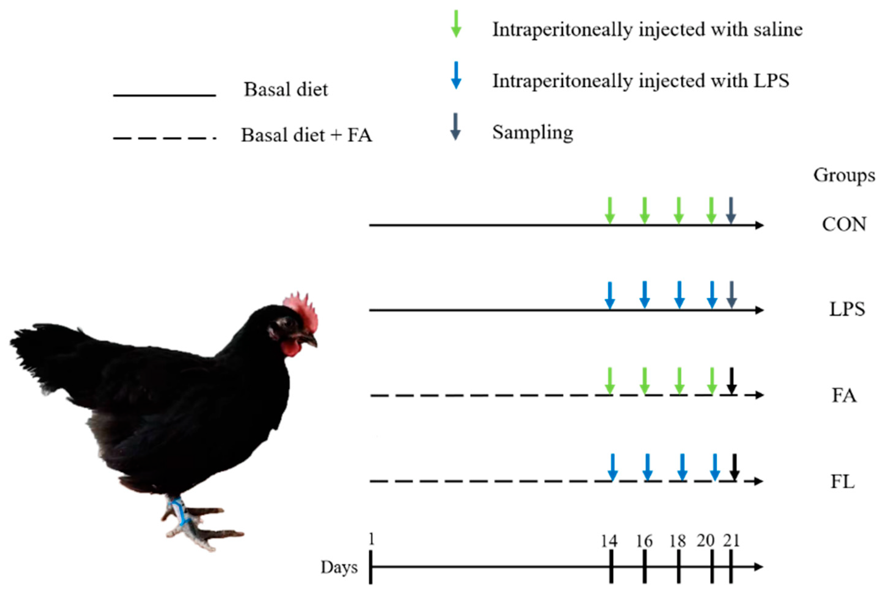 Molecules 28 01720 g011
