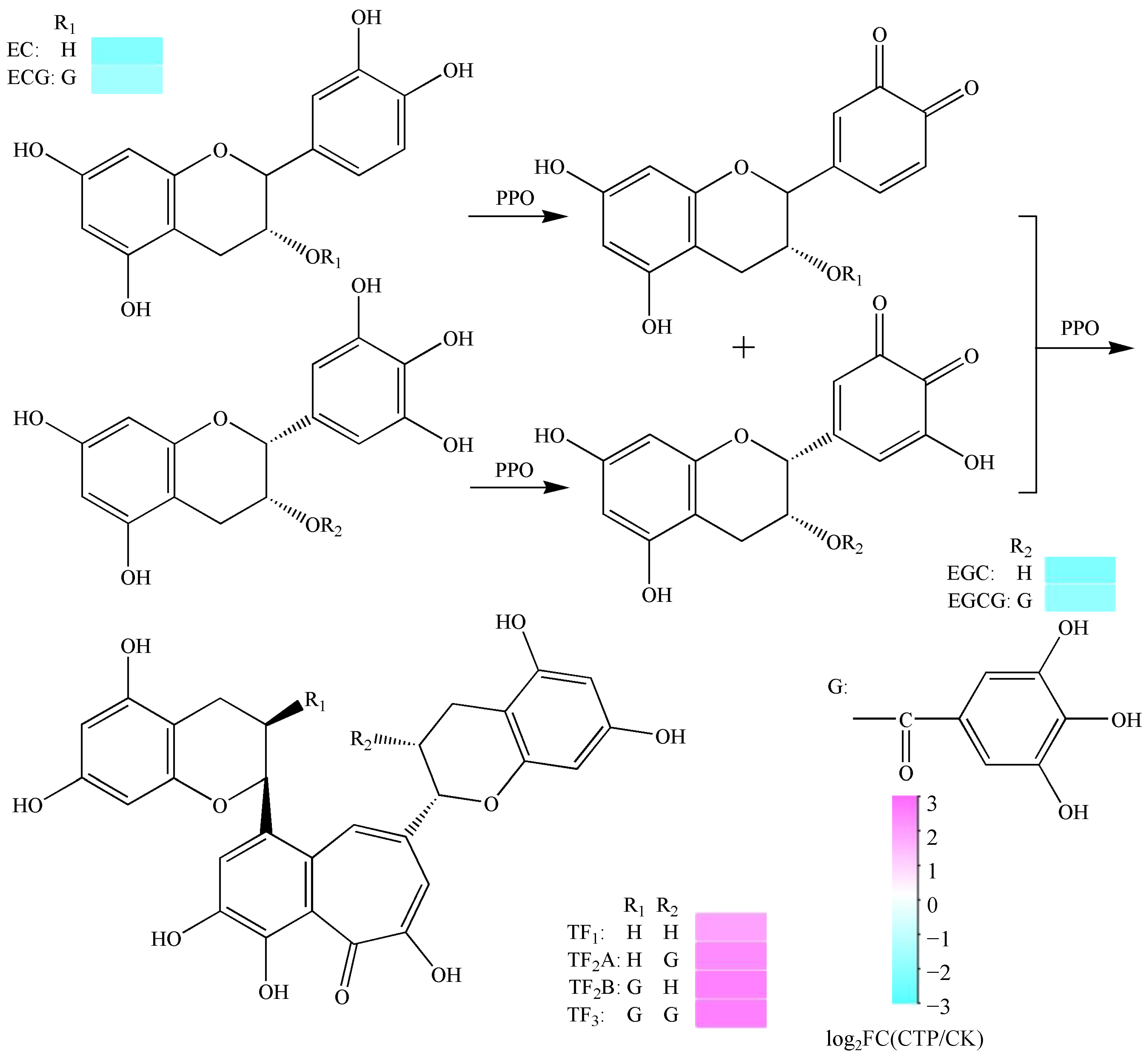 Molecules 28 01722 g005