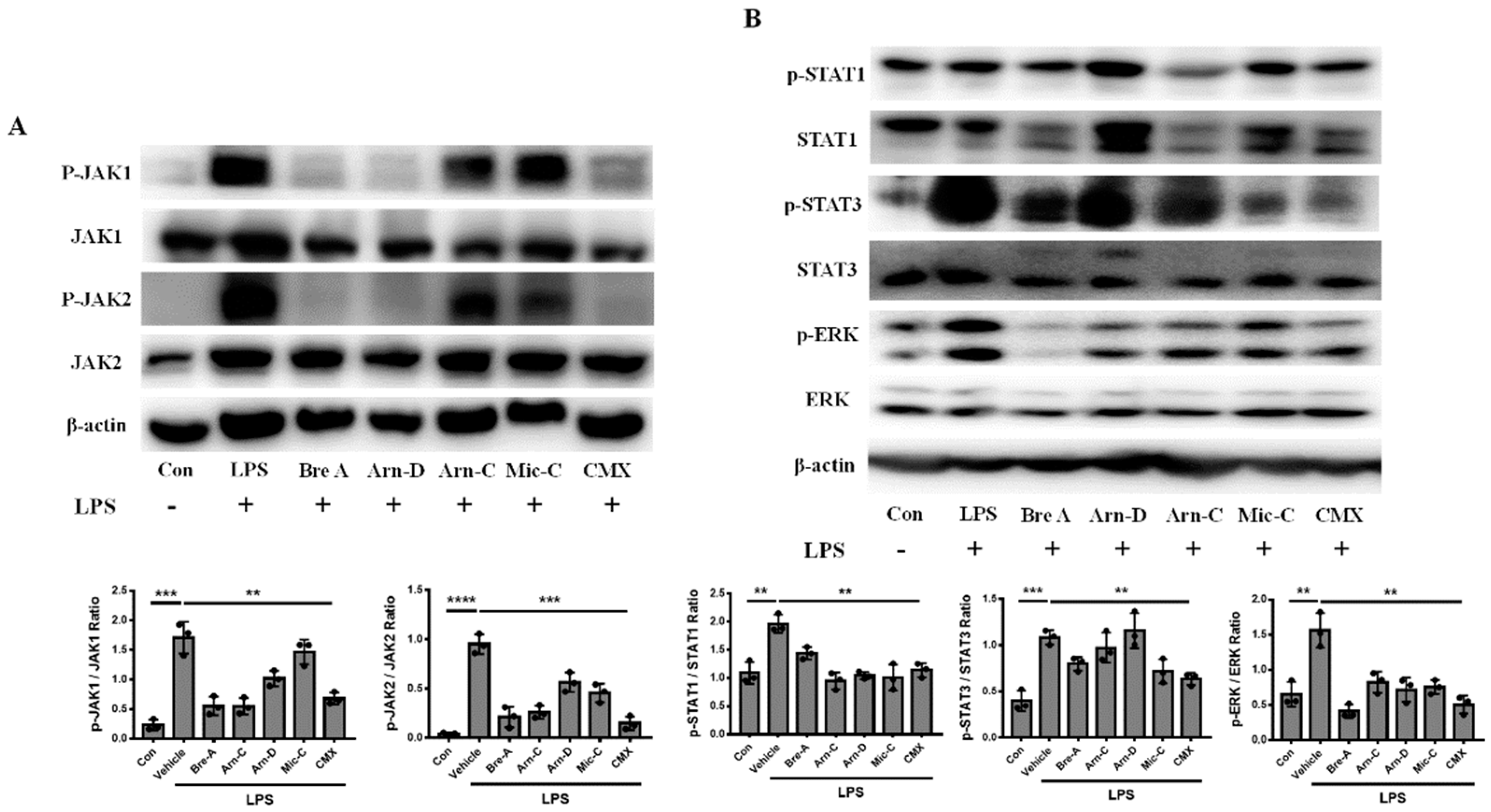 Molecules 28 01723 g004 Molecules 28 01723 g004