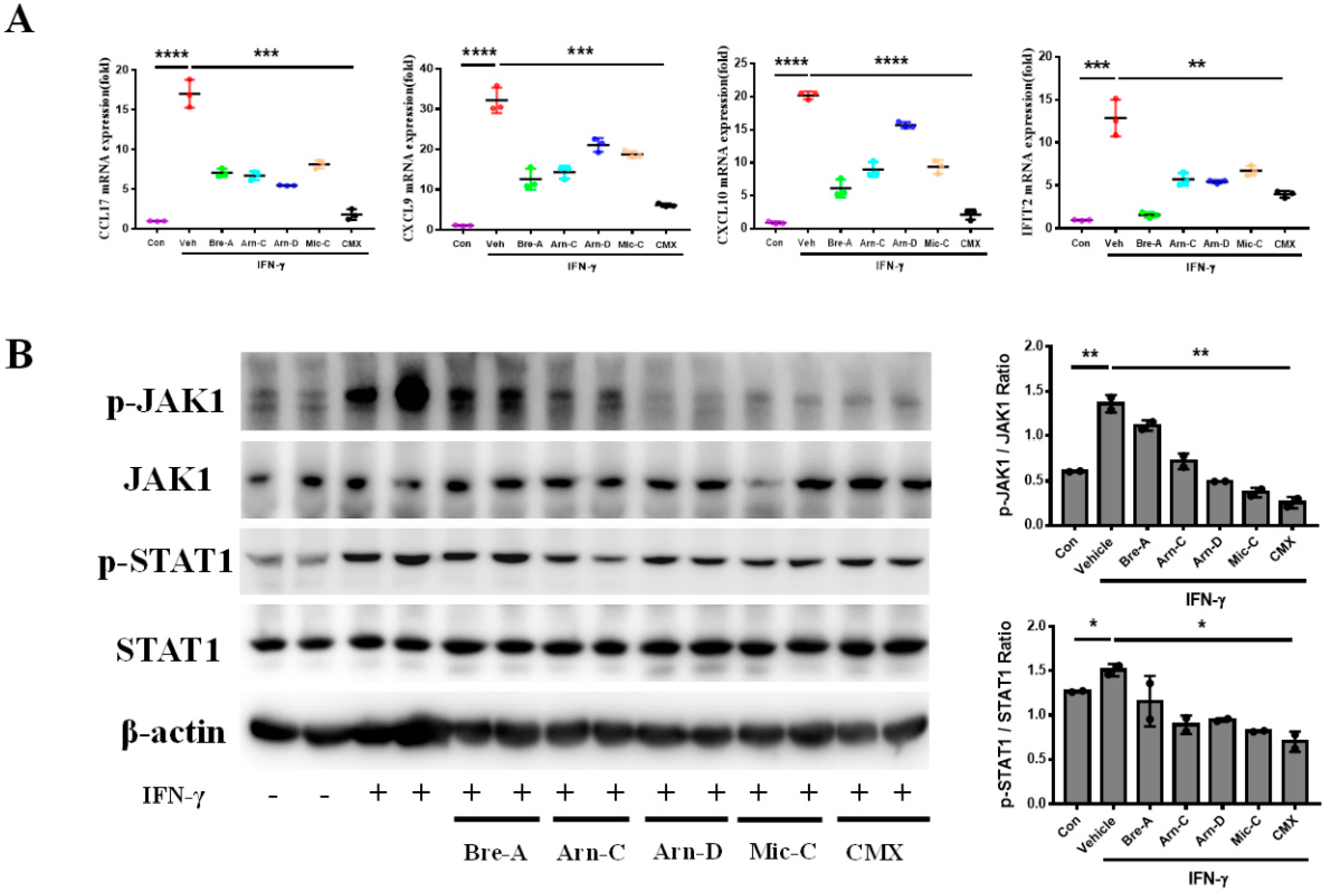 Molecules 28 01723 g006 Molecules 28 01723 g006