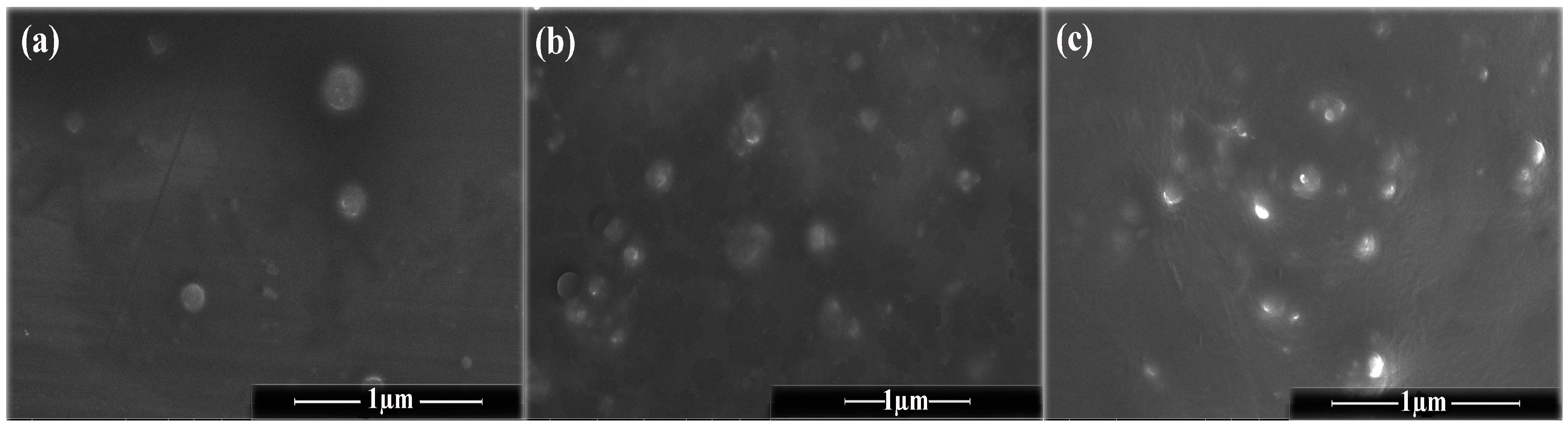 Molecules 28 01724 g002