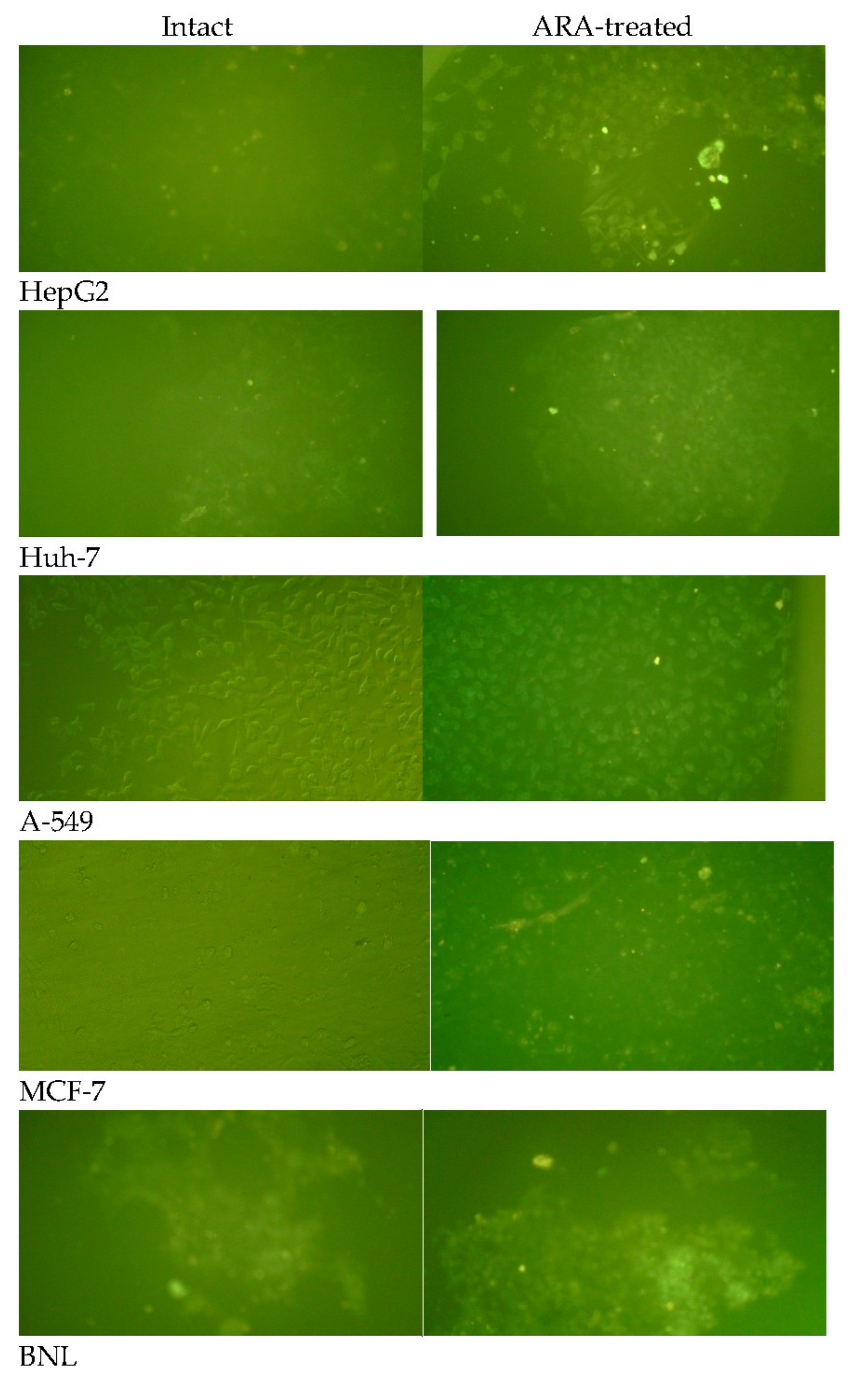 Molecules 28 01727 g005 Molecules 28 01727 g005