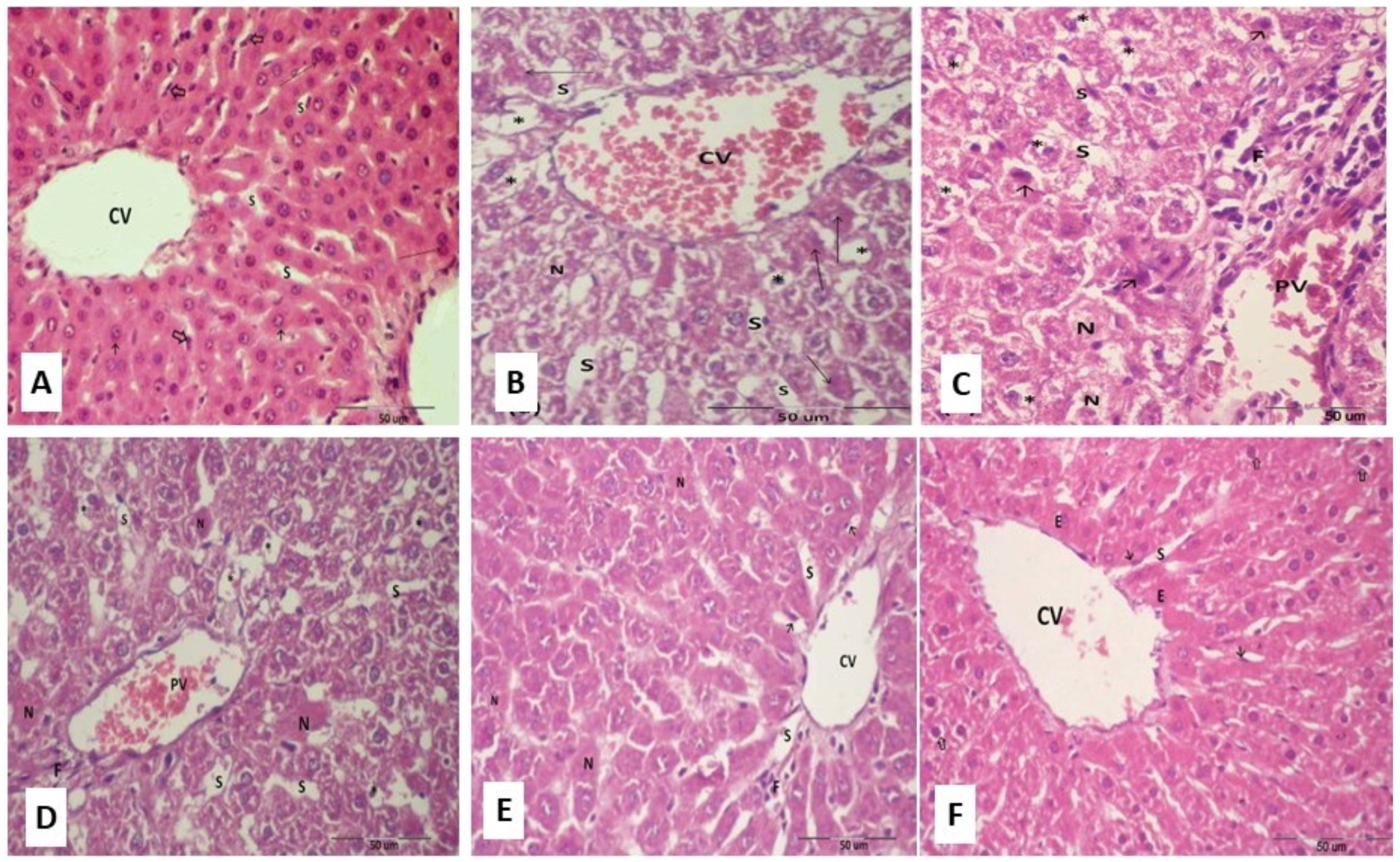 Molecules 28 01734 g008