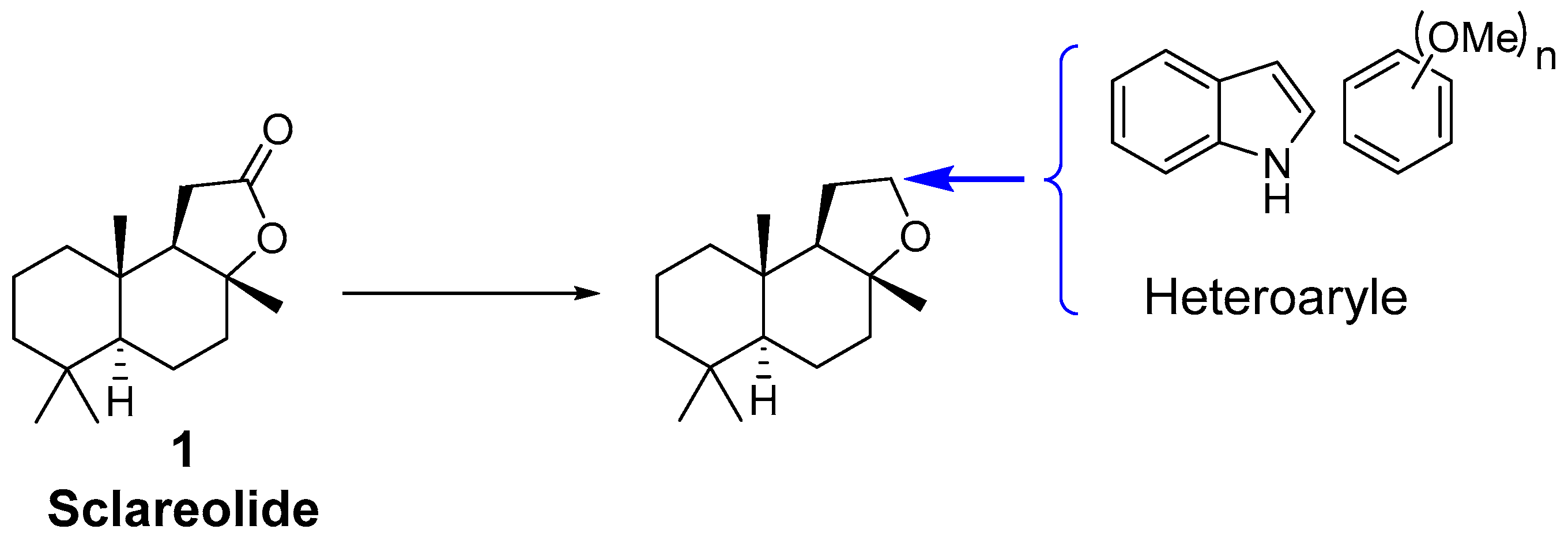 Molecules 28 01737 g001