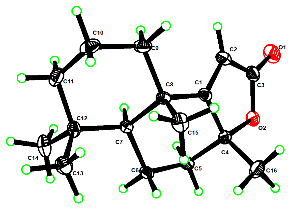 Molecules 28 01737 g002