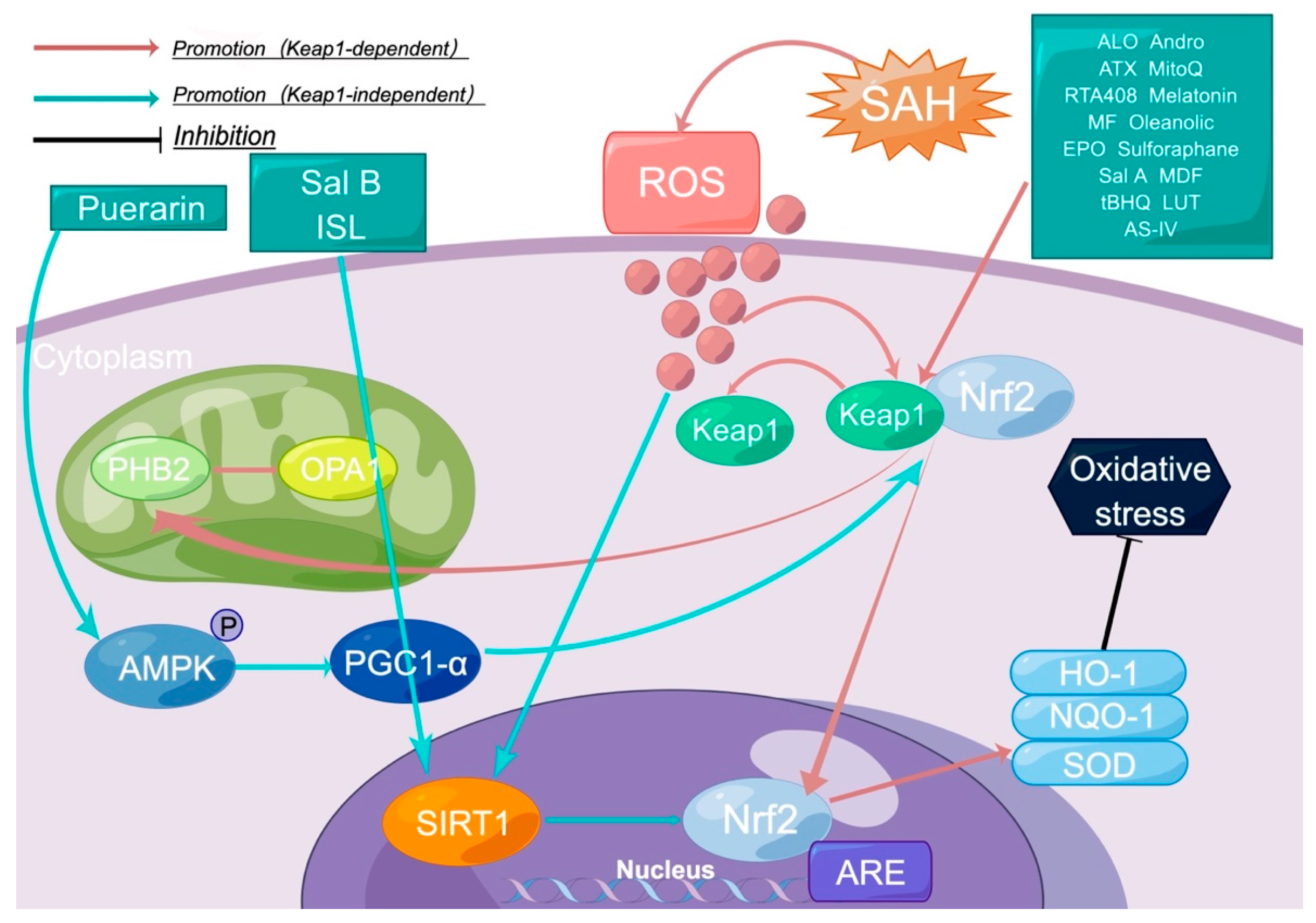 Molecules 28 01747 g001