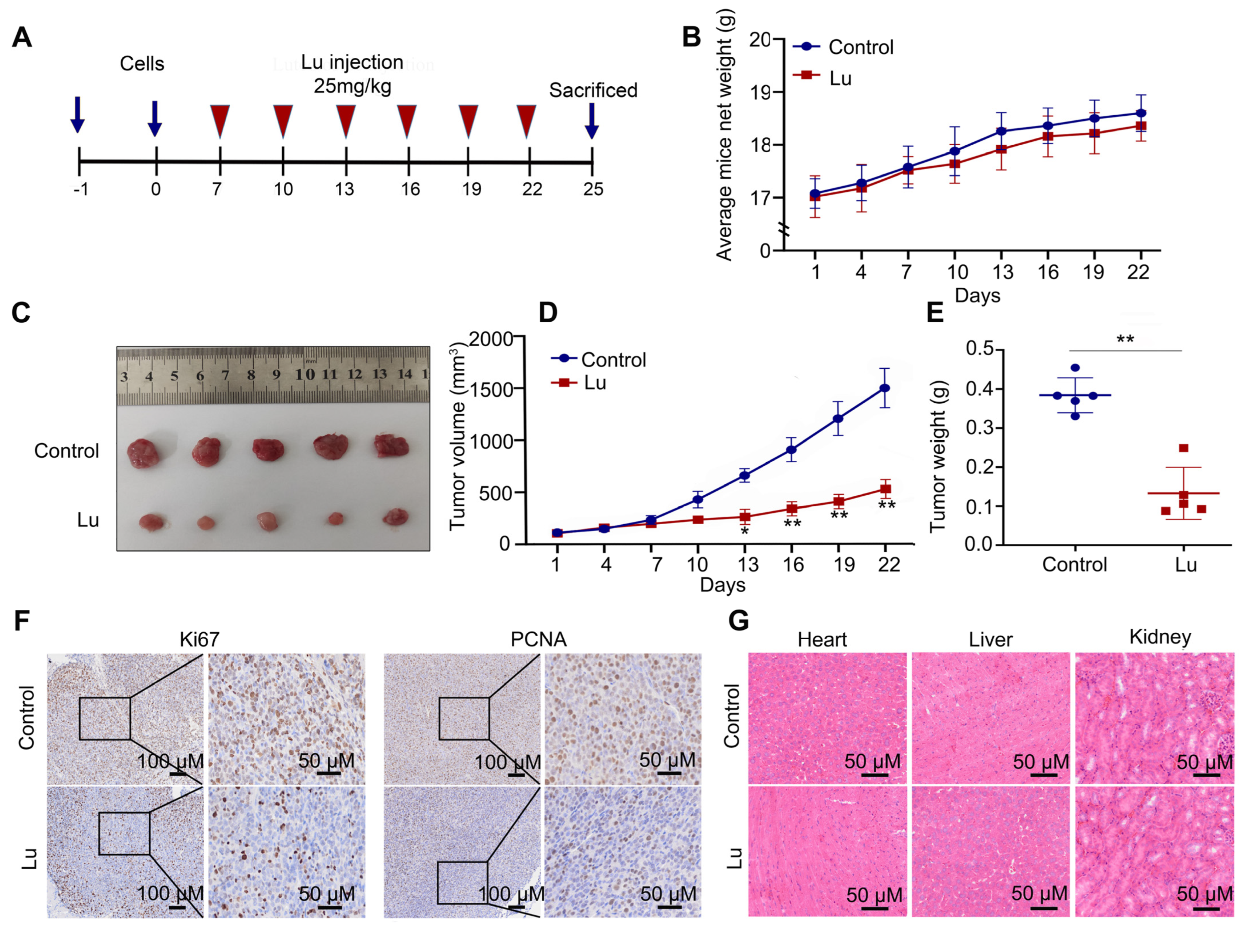 Molecules 28 01748 g004