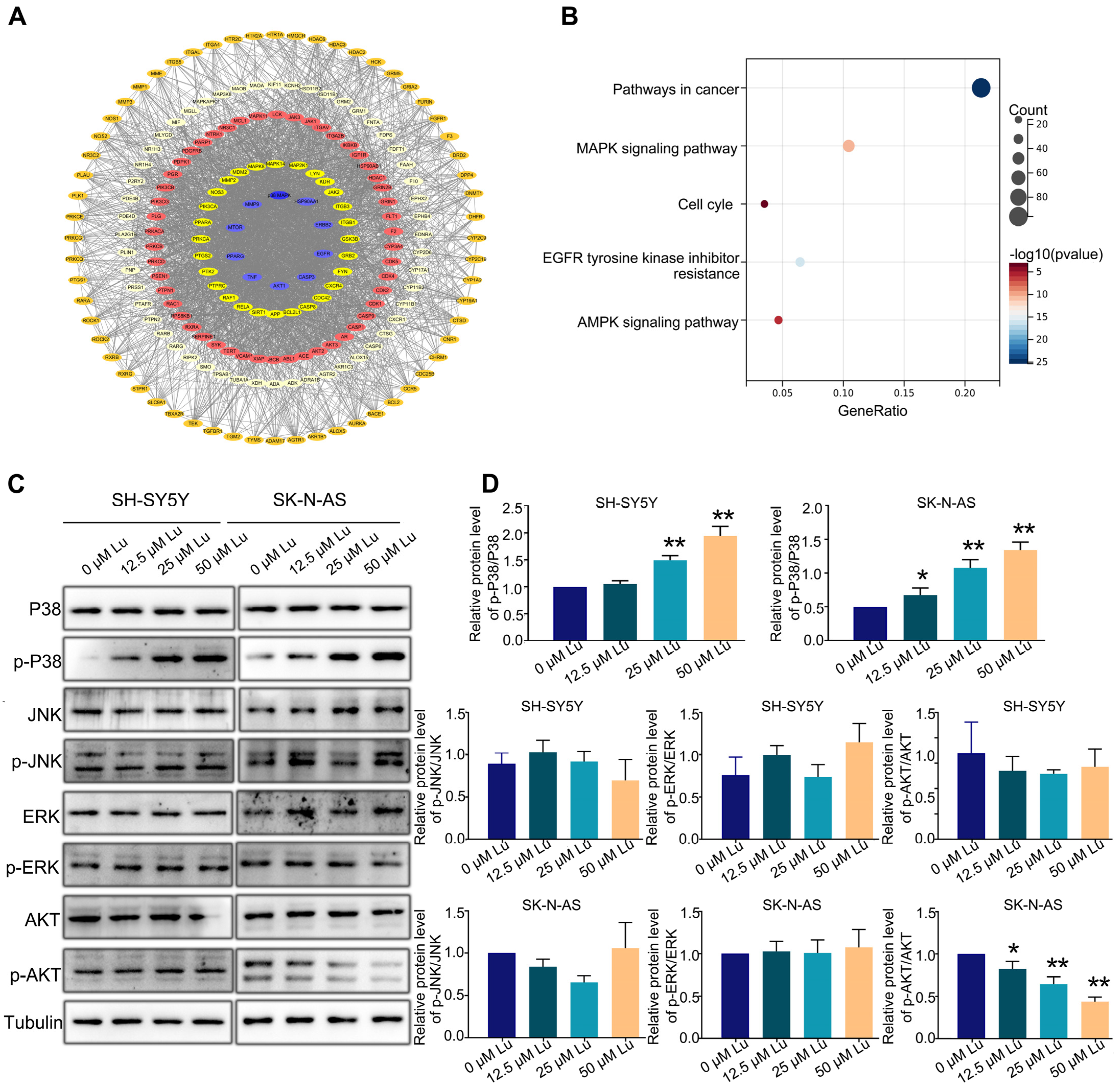 Molecules 28 01748 g005