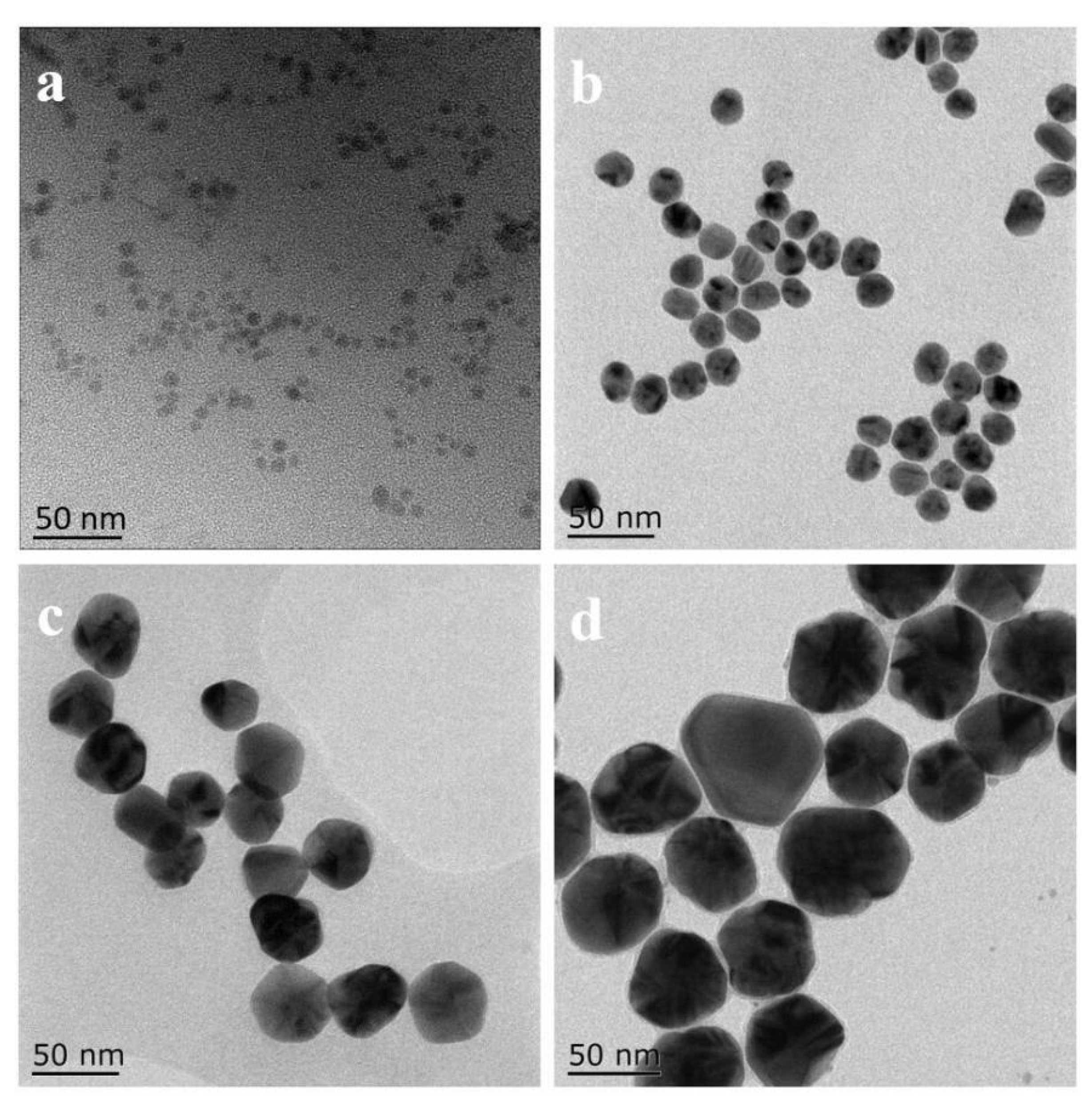 Molecules 28 01750 g003 Molecules 28 01750 g003