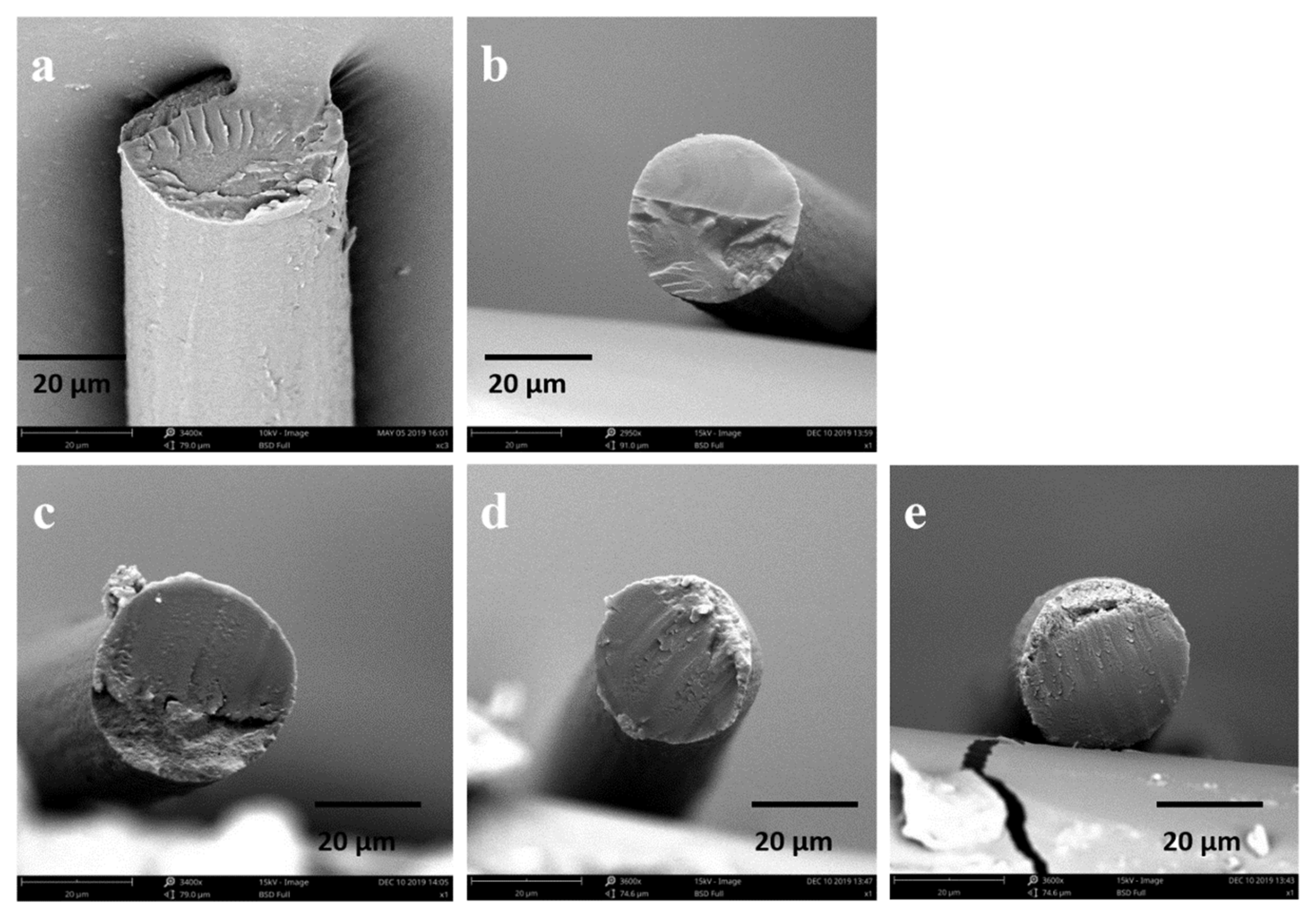 Molecules 28 01750 g007 Molecules 28 01750 g007