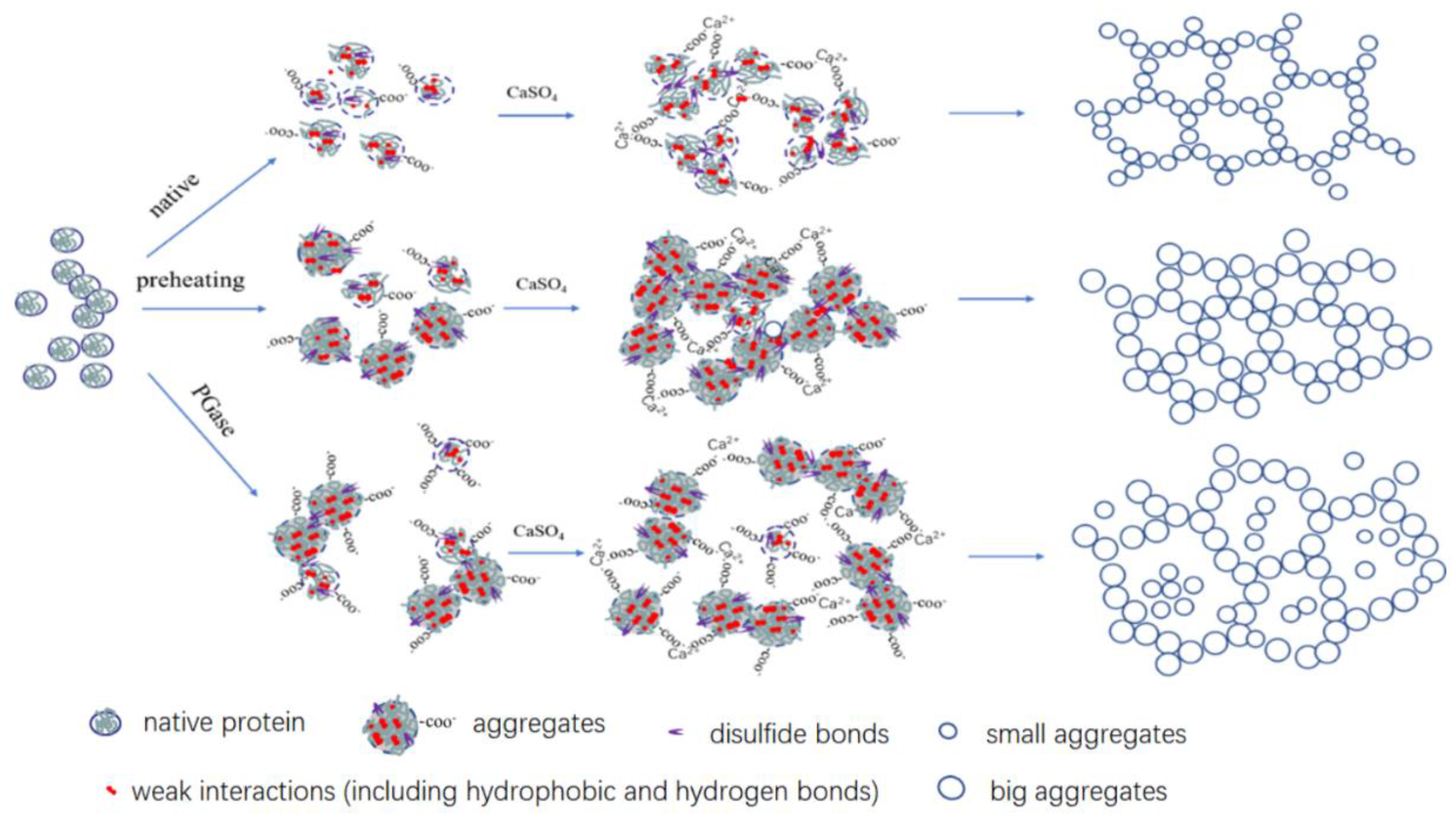 Molecules 28 01752 g007