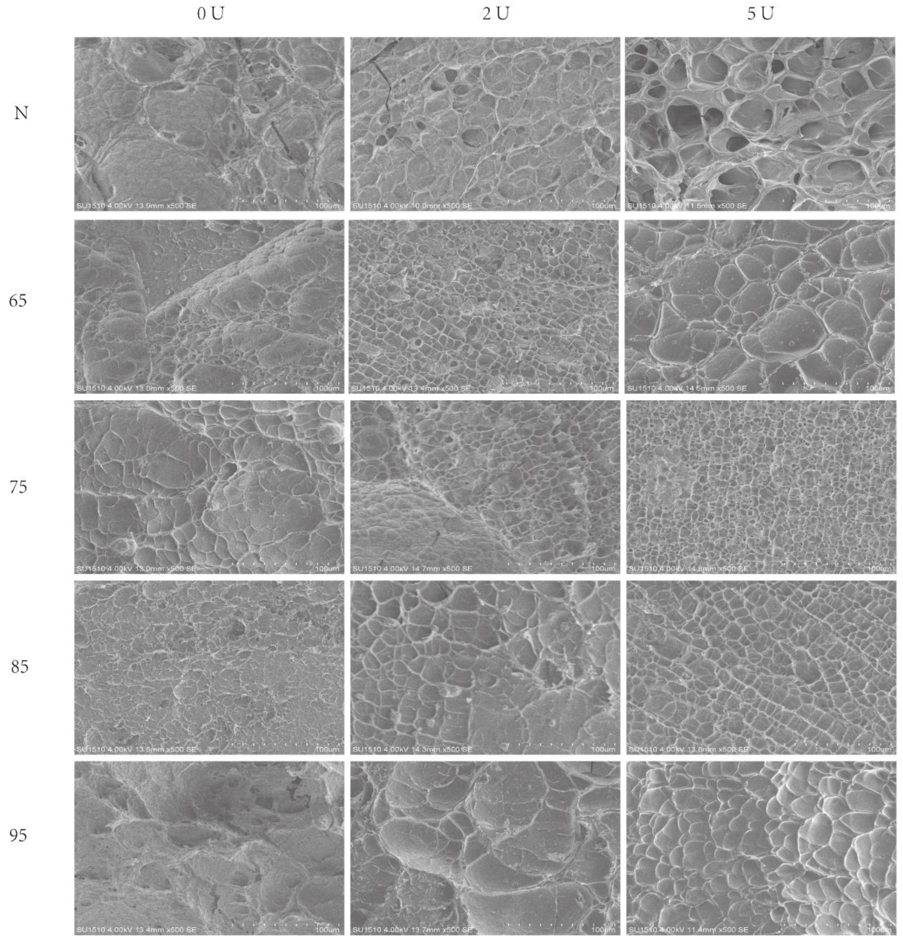 Molecules 28 01752 g008
