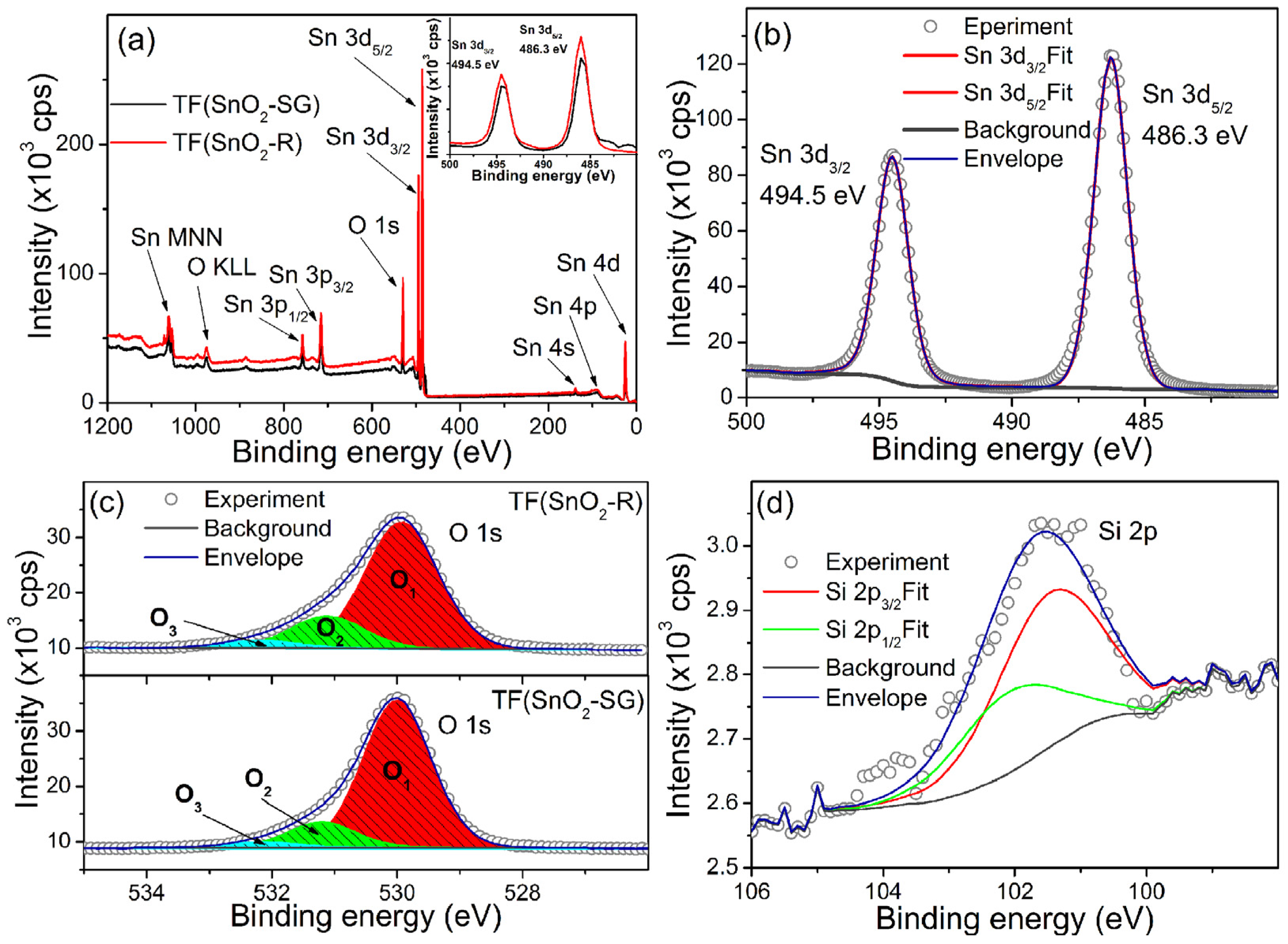 Molecules 28 01754 g008