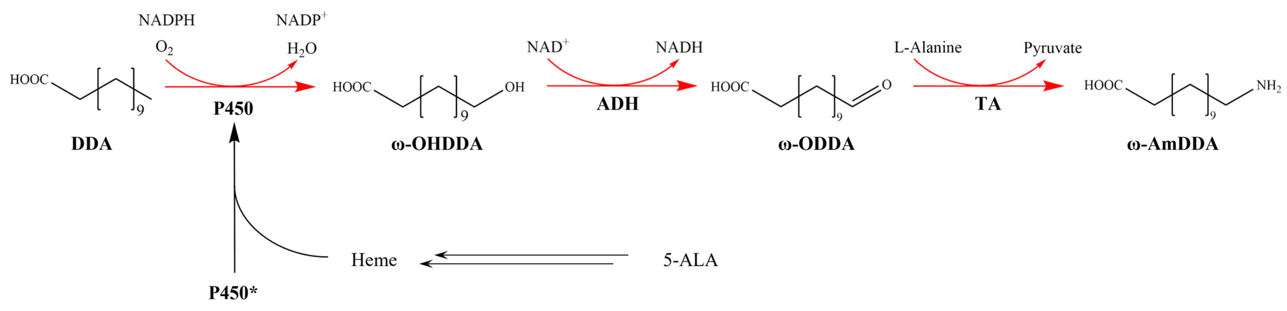 Molecules 28 01758 g001