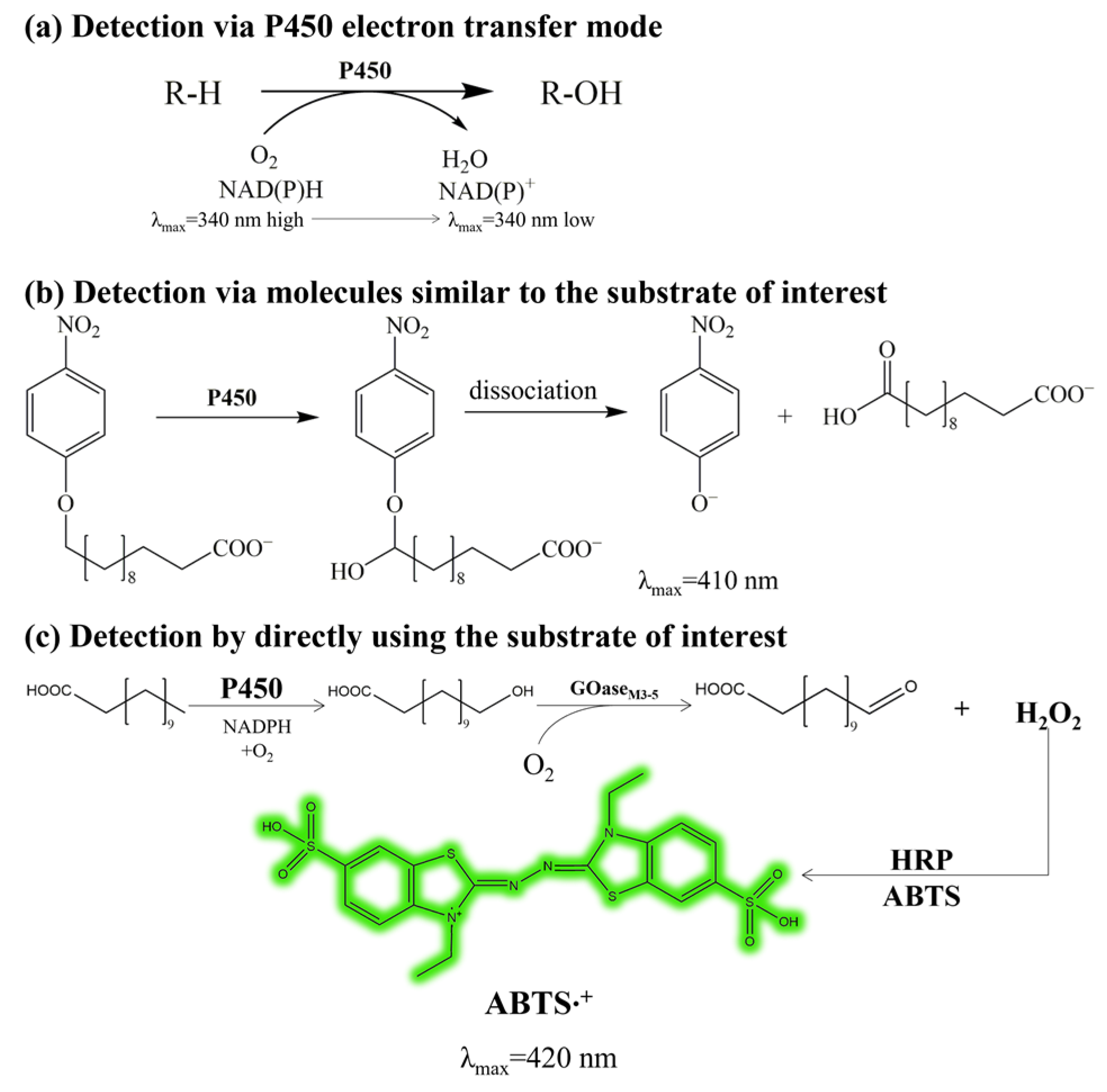 Molecules 28 01758 g002