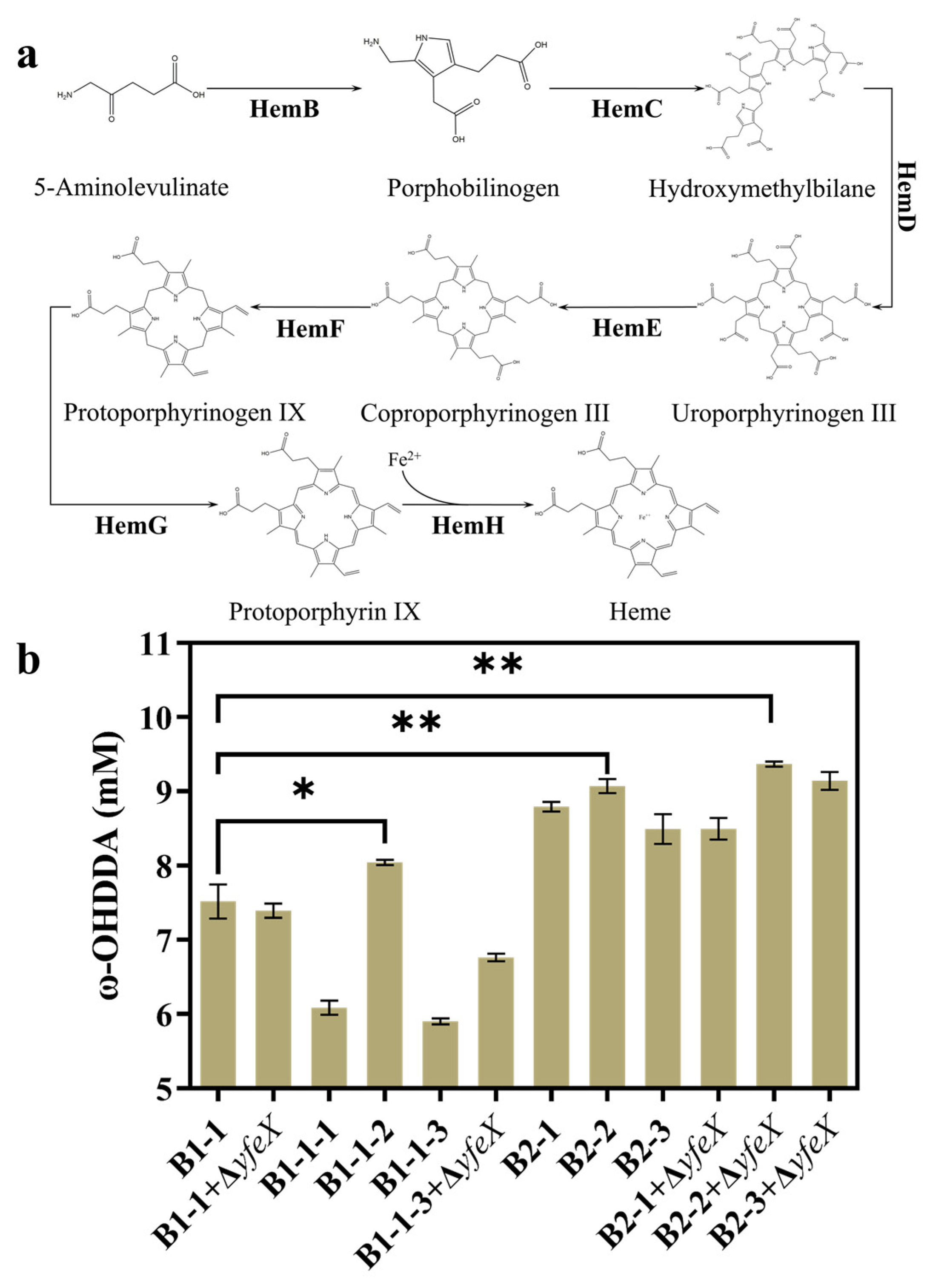 Molecules 28 01758 g006