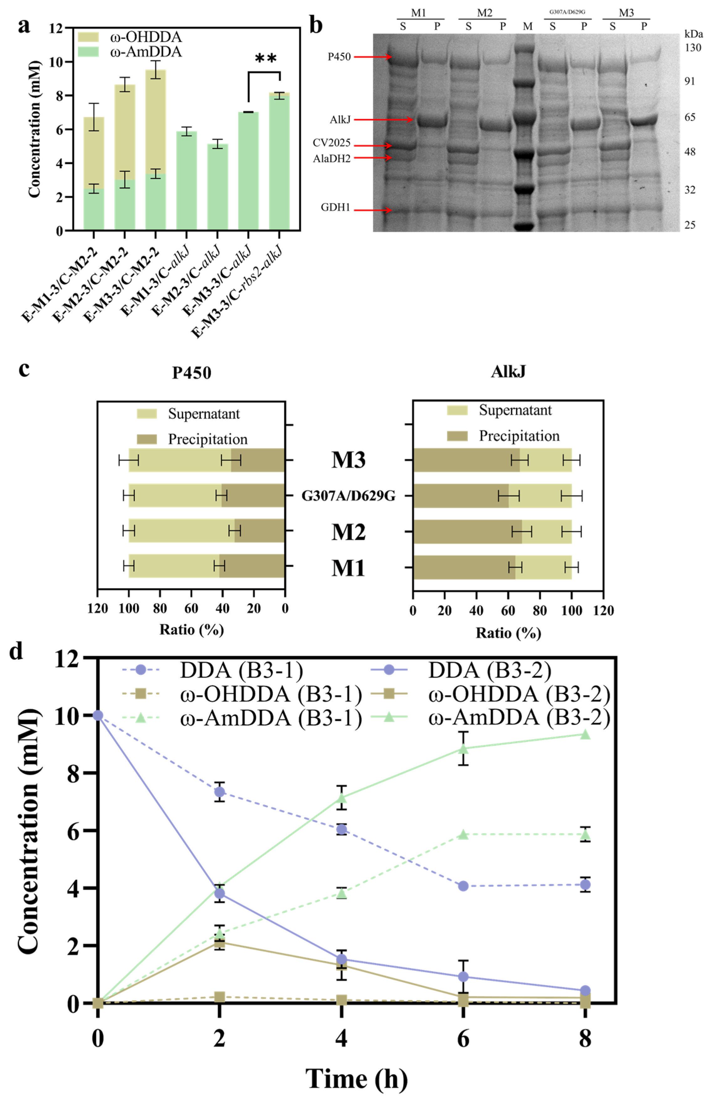 Molecules 28 01758 g007