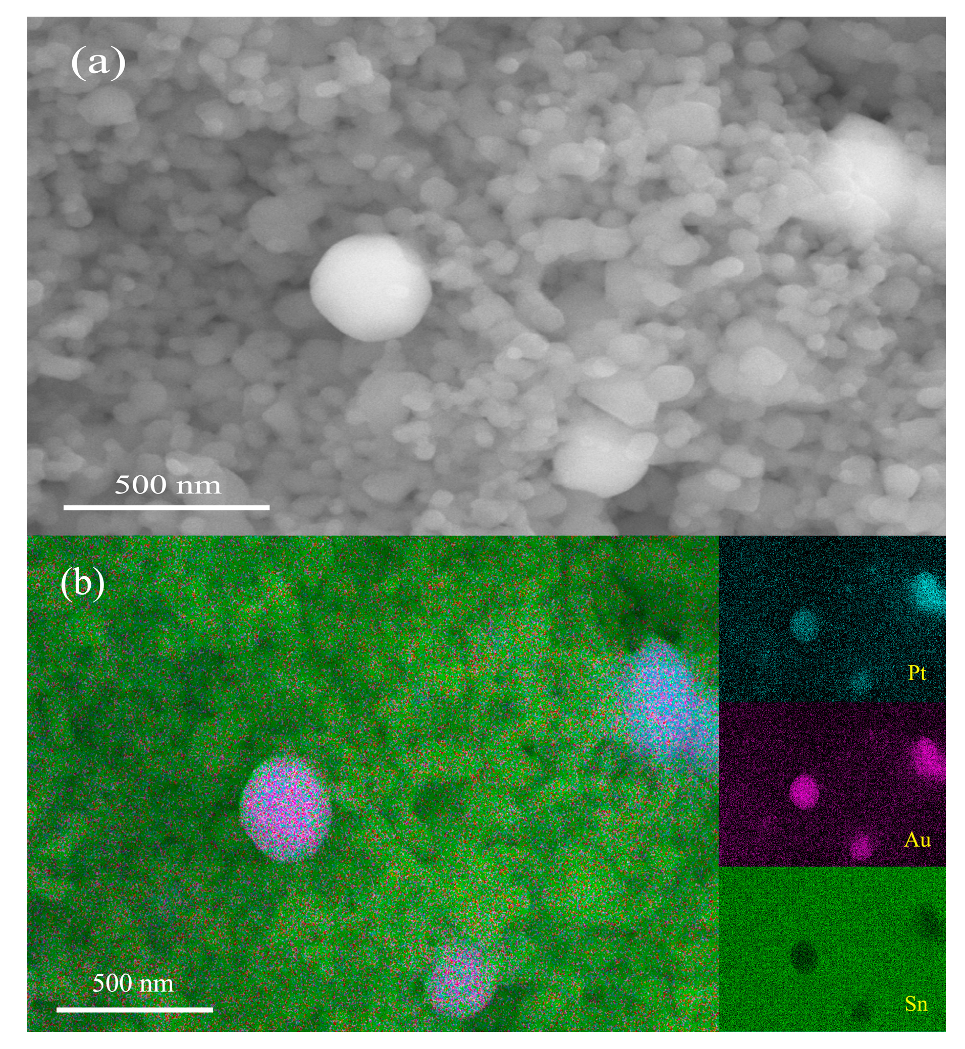 Molecules 28 01759 g002