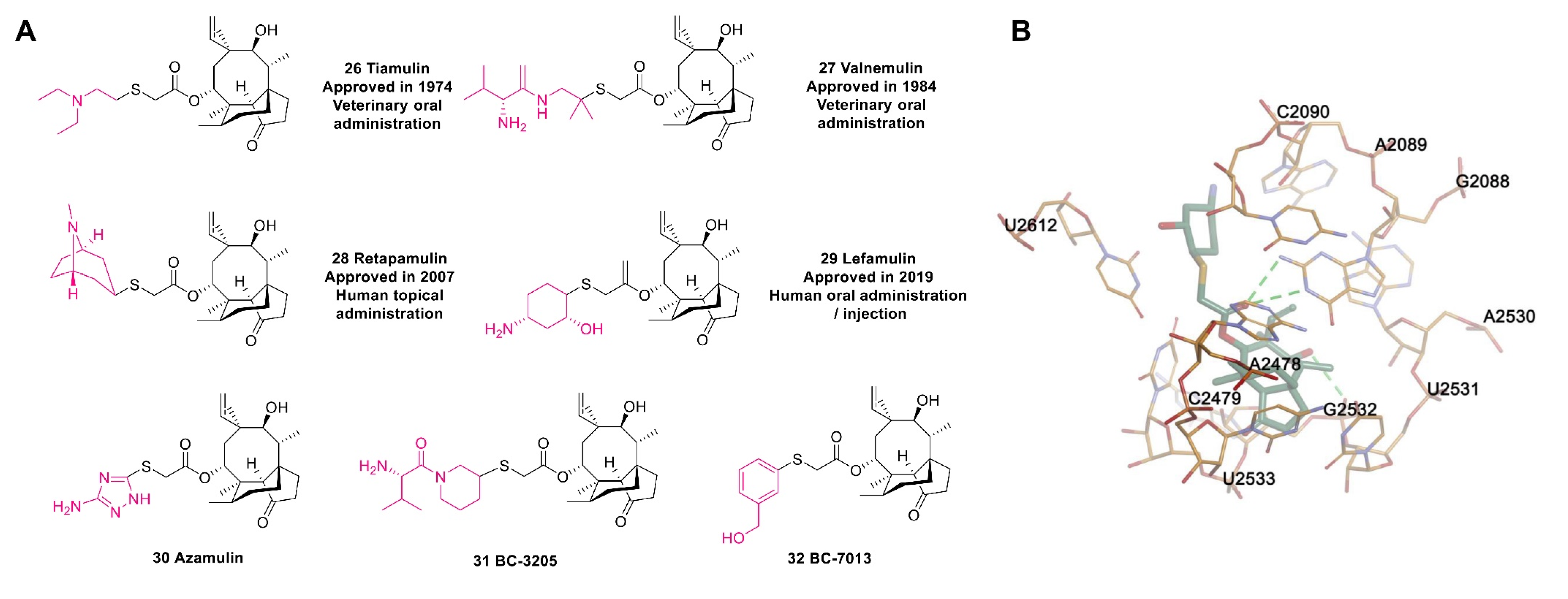 Molecules 28 01762 g009