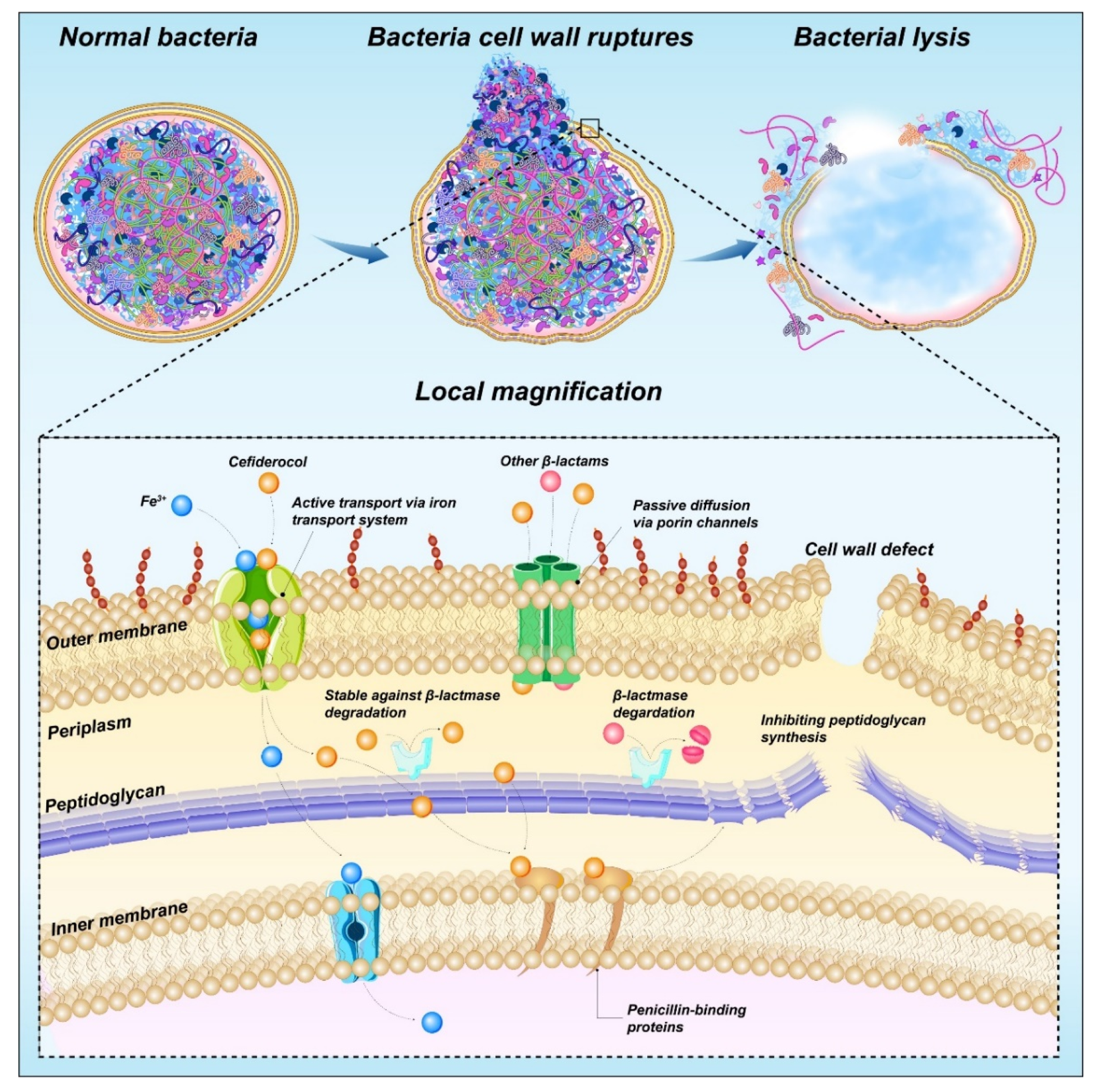 Molecules 28 01762 g013