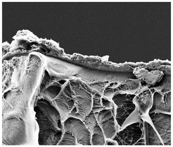 Molecules 28 01764 g0a1 550