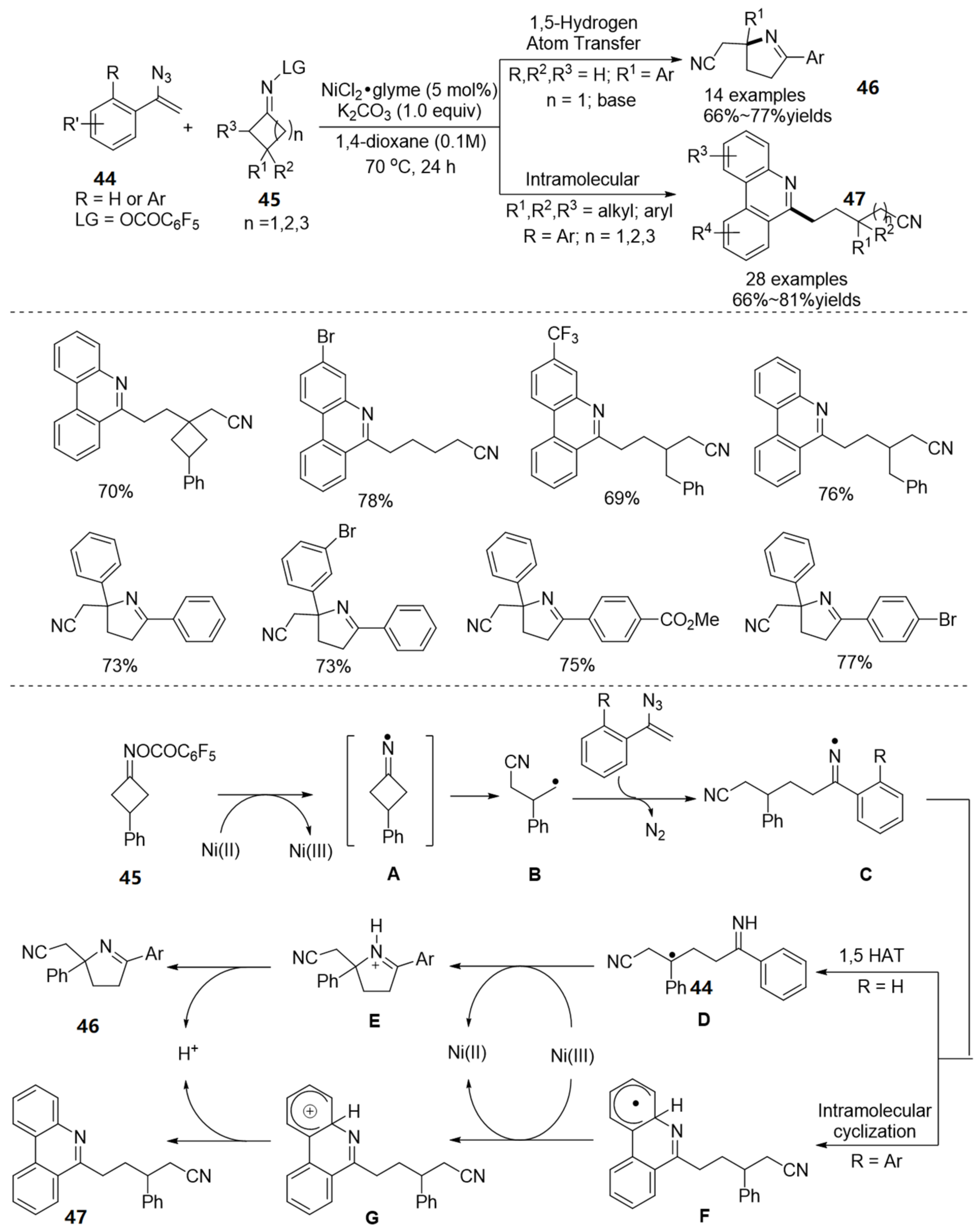 Molecules 28 01775 g016 Molecules 28 01775 g016