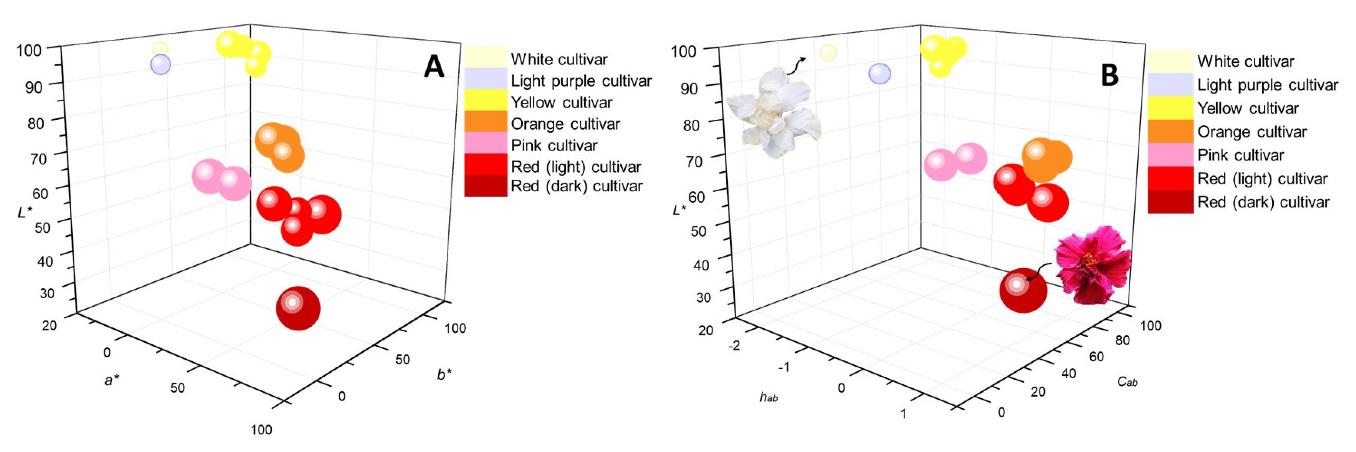 Molecules 28 01779 g004 Molecules 28 01779 g004