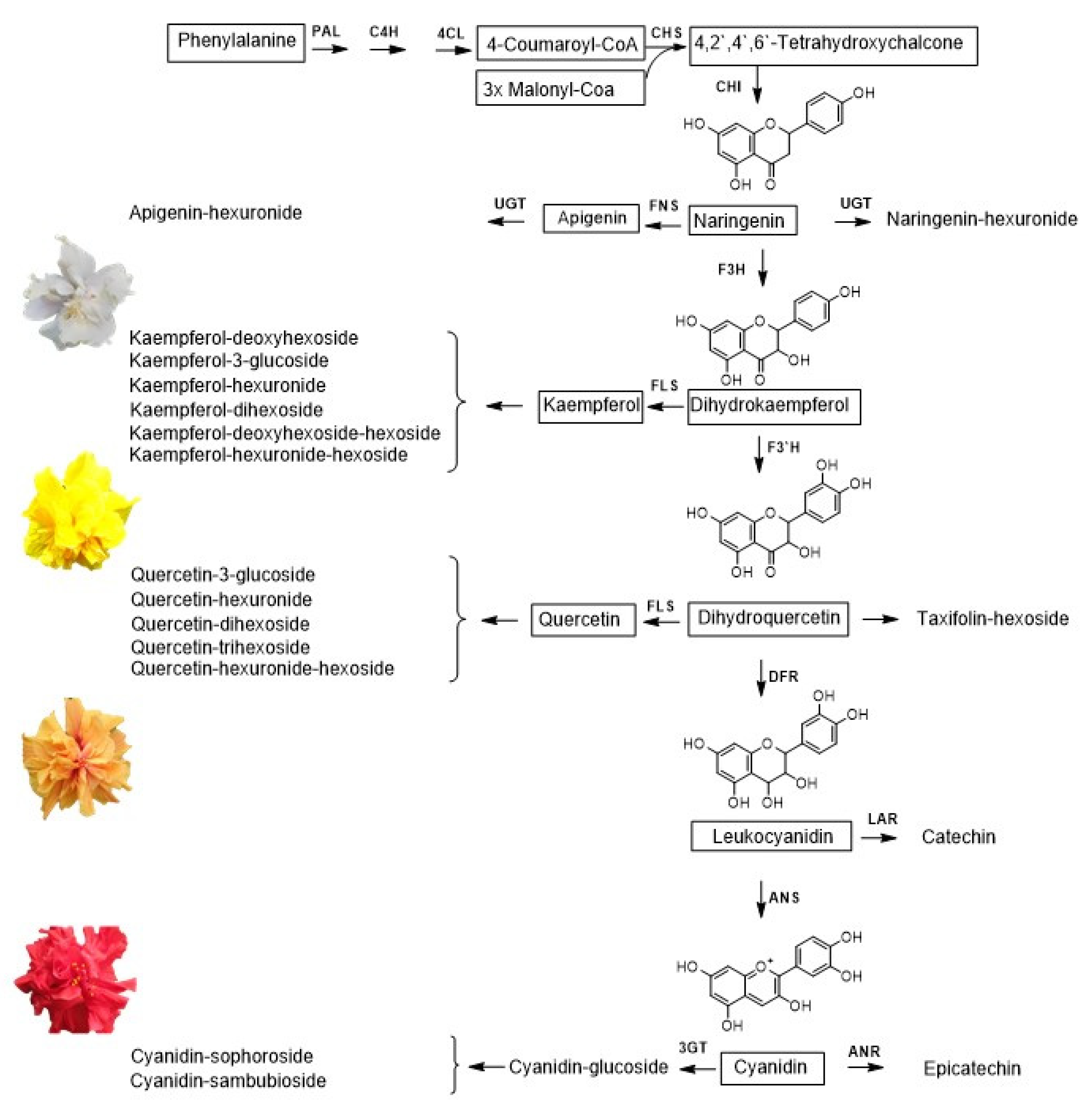 Molecules 28 01779 g006 Molecules 28 01779 g006