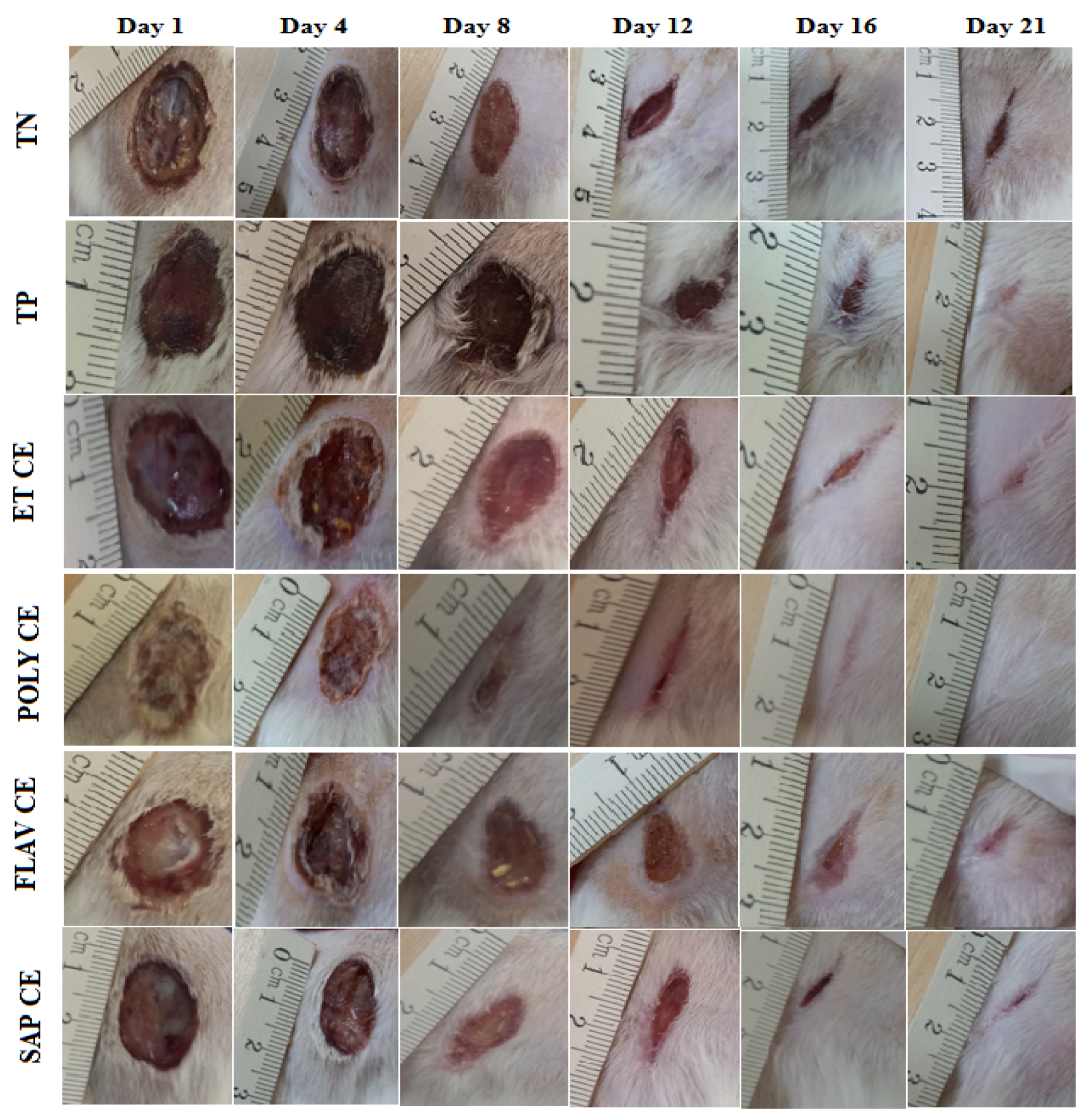 Molecules 28 01780 g002 Molecules 28 01780 g002