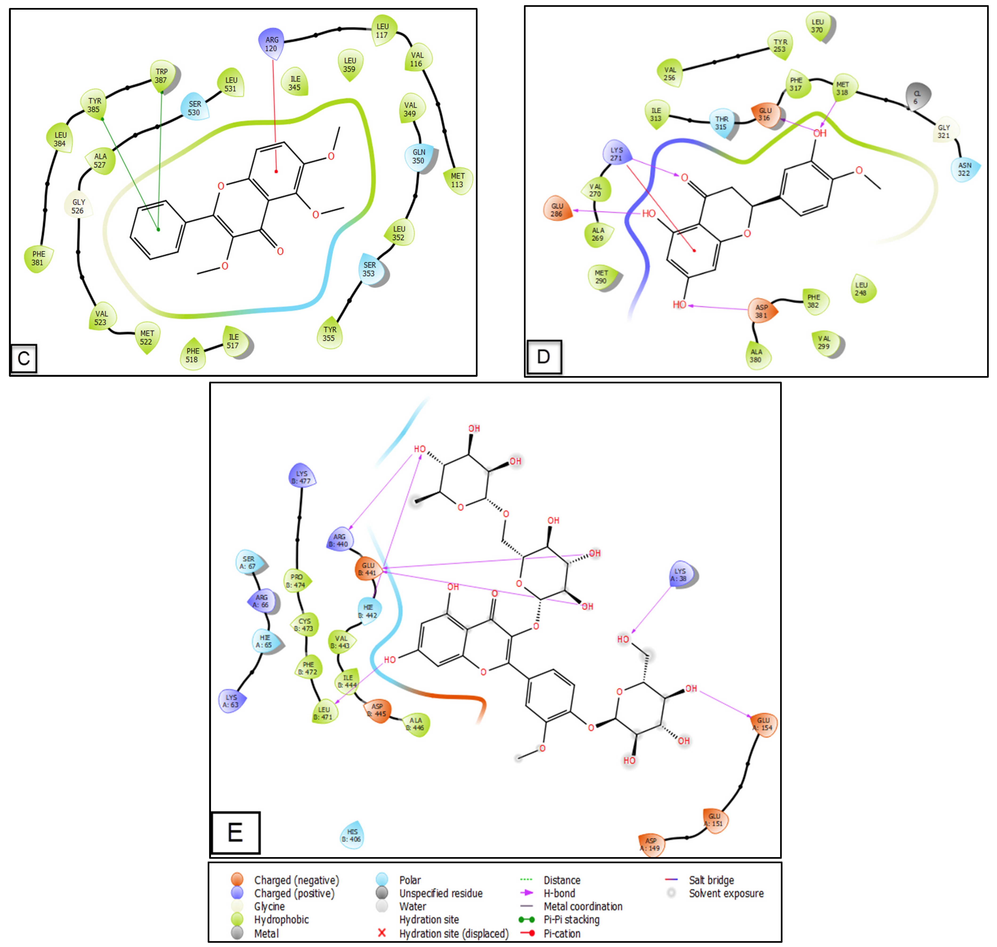 Molecules 28 01780 g006b Molecules 28 01780 g006b