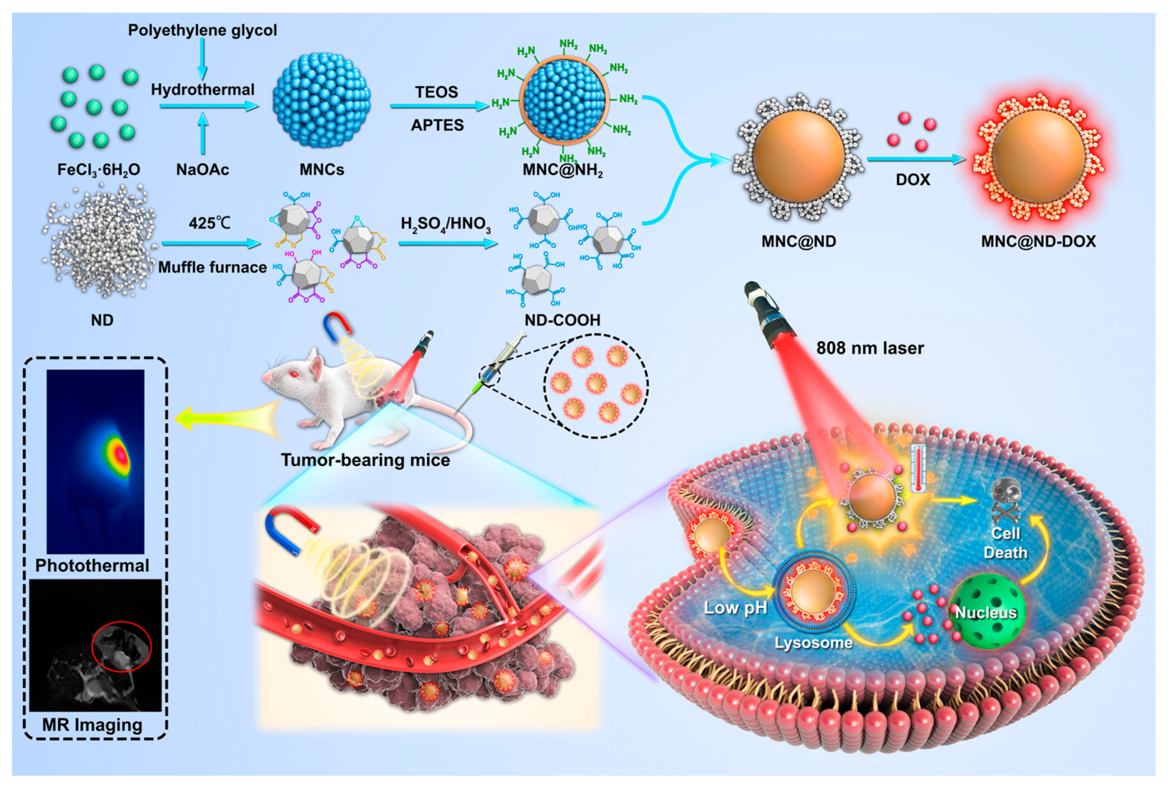 Molecules 28 01784 sch001