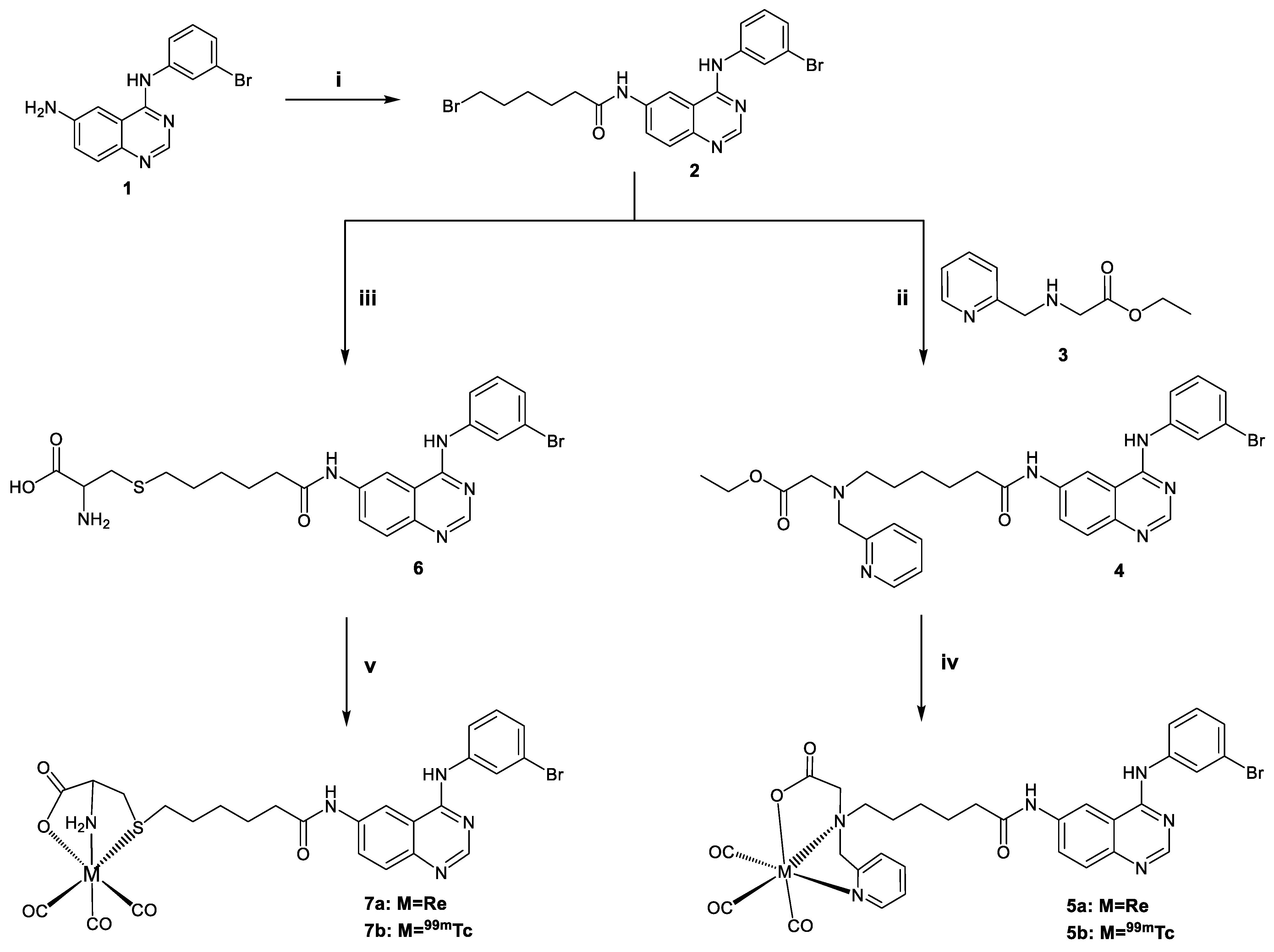 Molecules 28 01786 g001