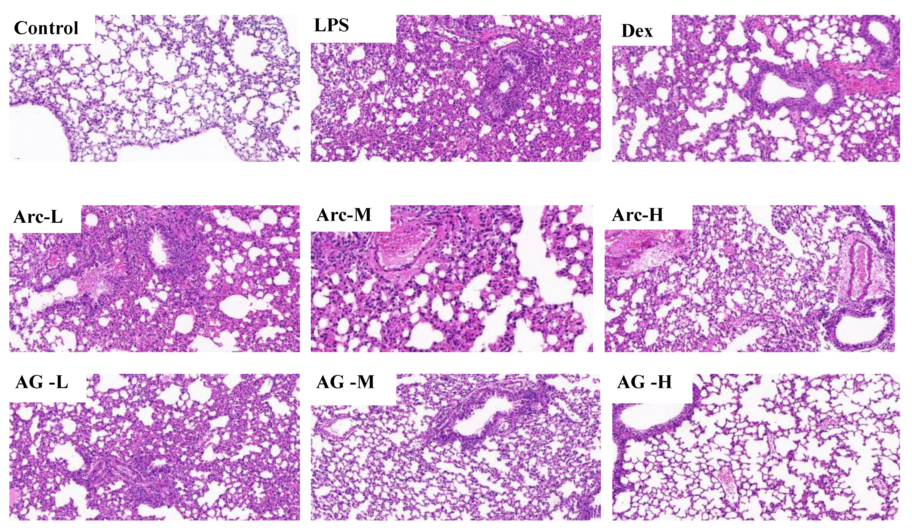 Molecules 28 01789 g003