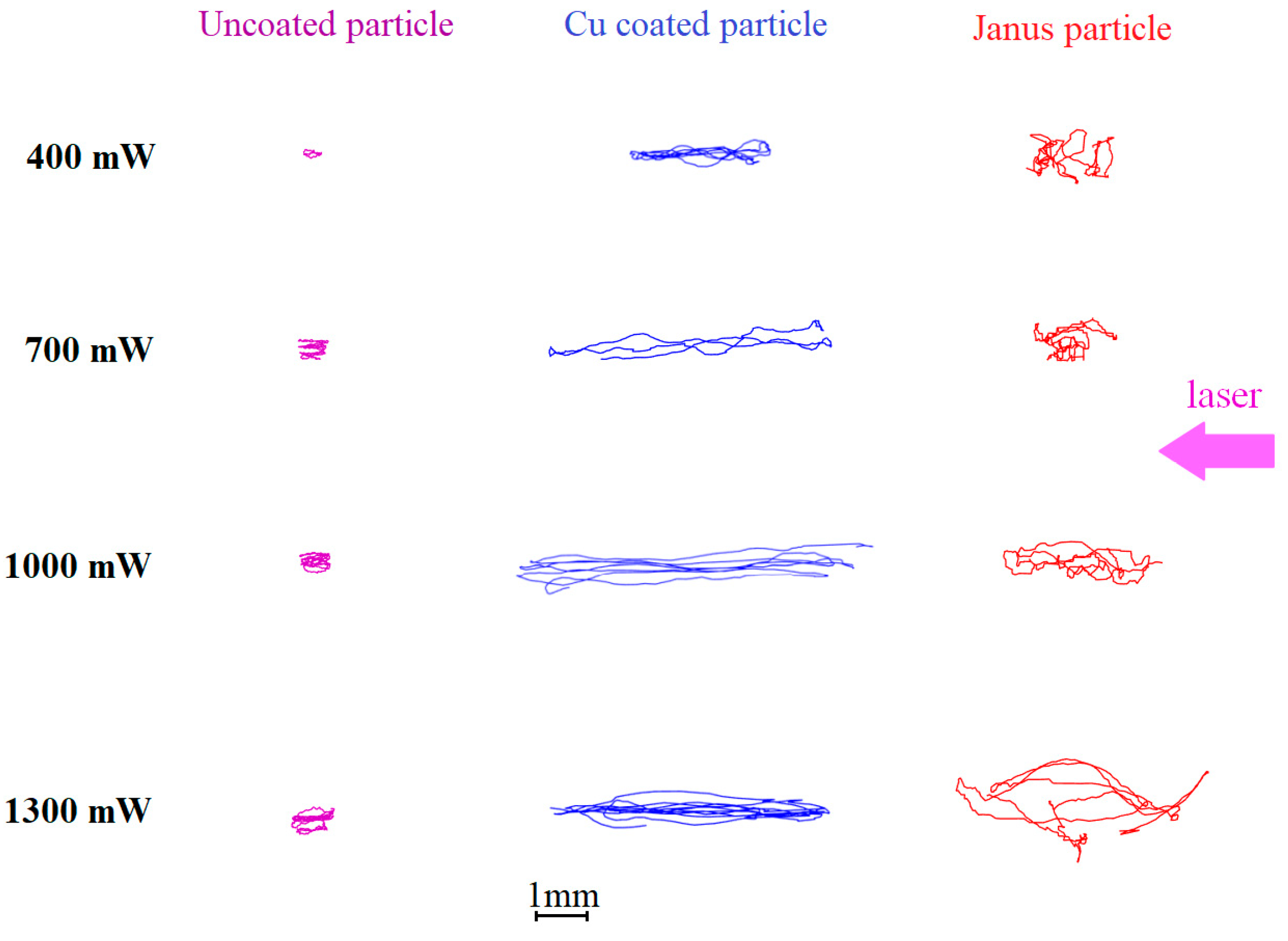 Molecules 28 01790 g003