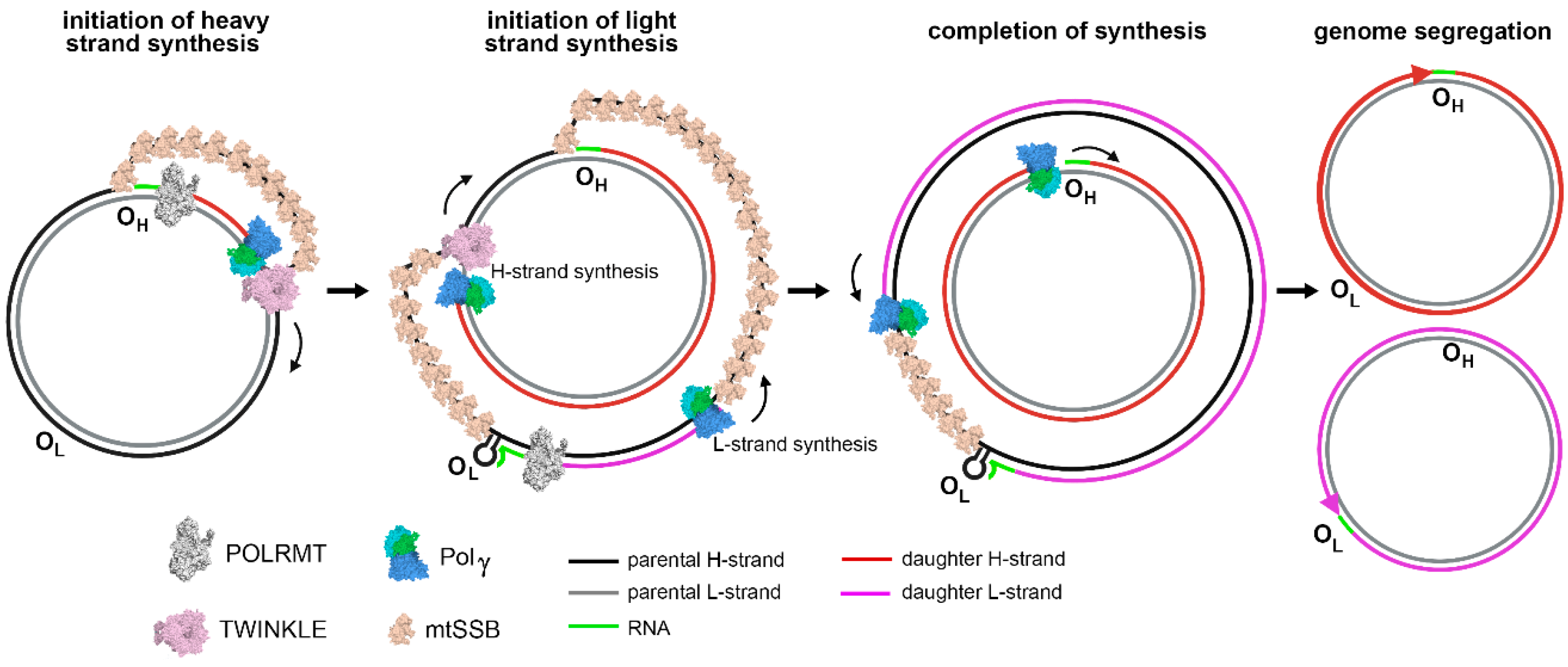 Molecules 28 01796 g002 Molecules 28 01796 g002
