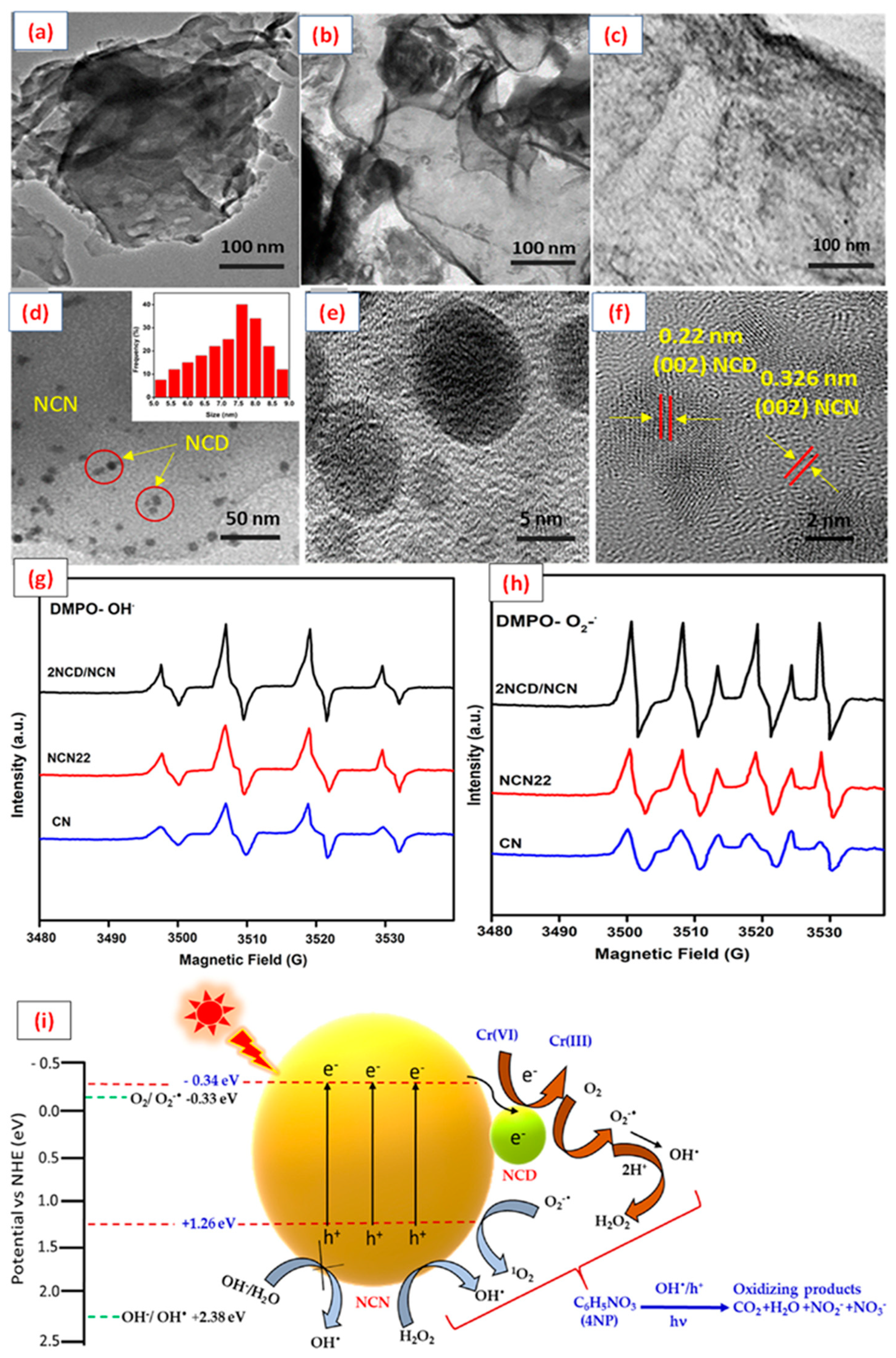 Molecules 28 01805 g006