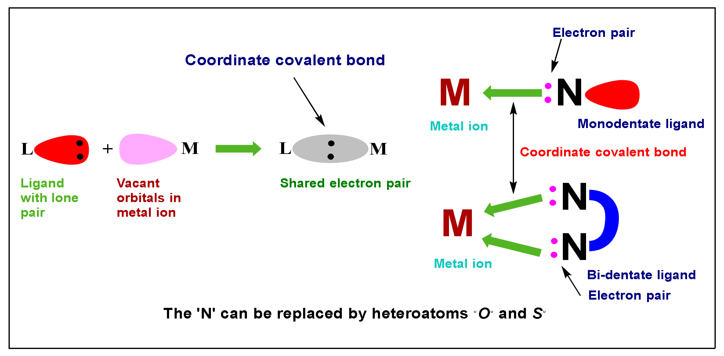 Molecules 28 01808 g002