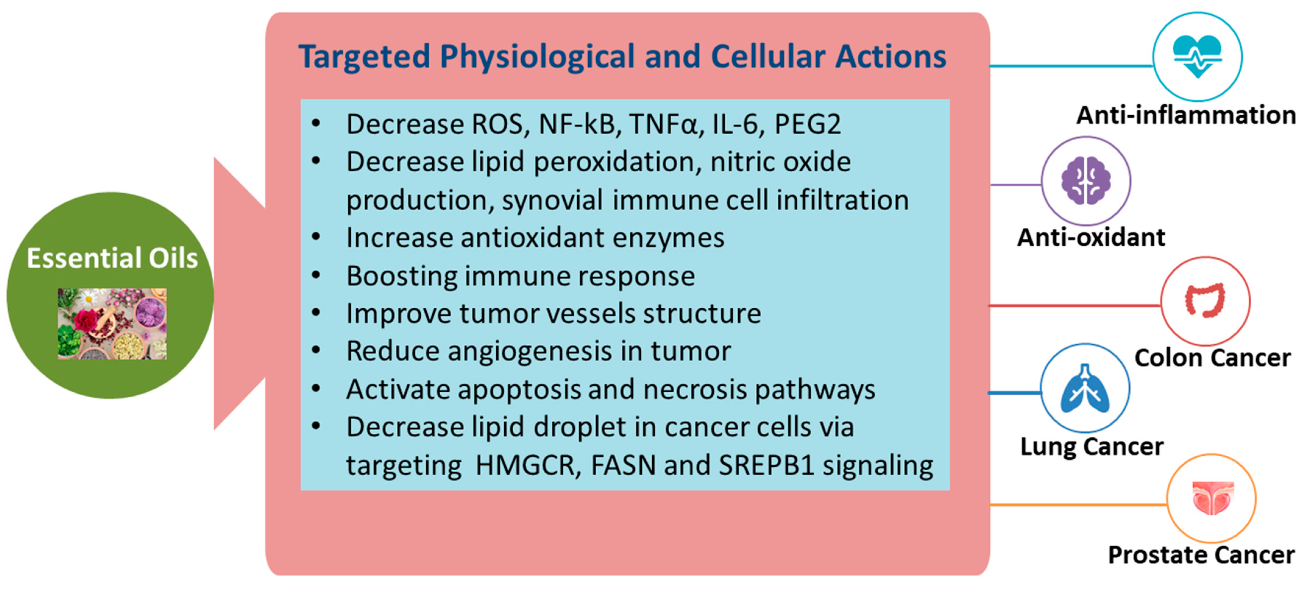 Molecules 28 01809 g002 Molecules 28 01809 g002