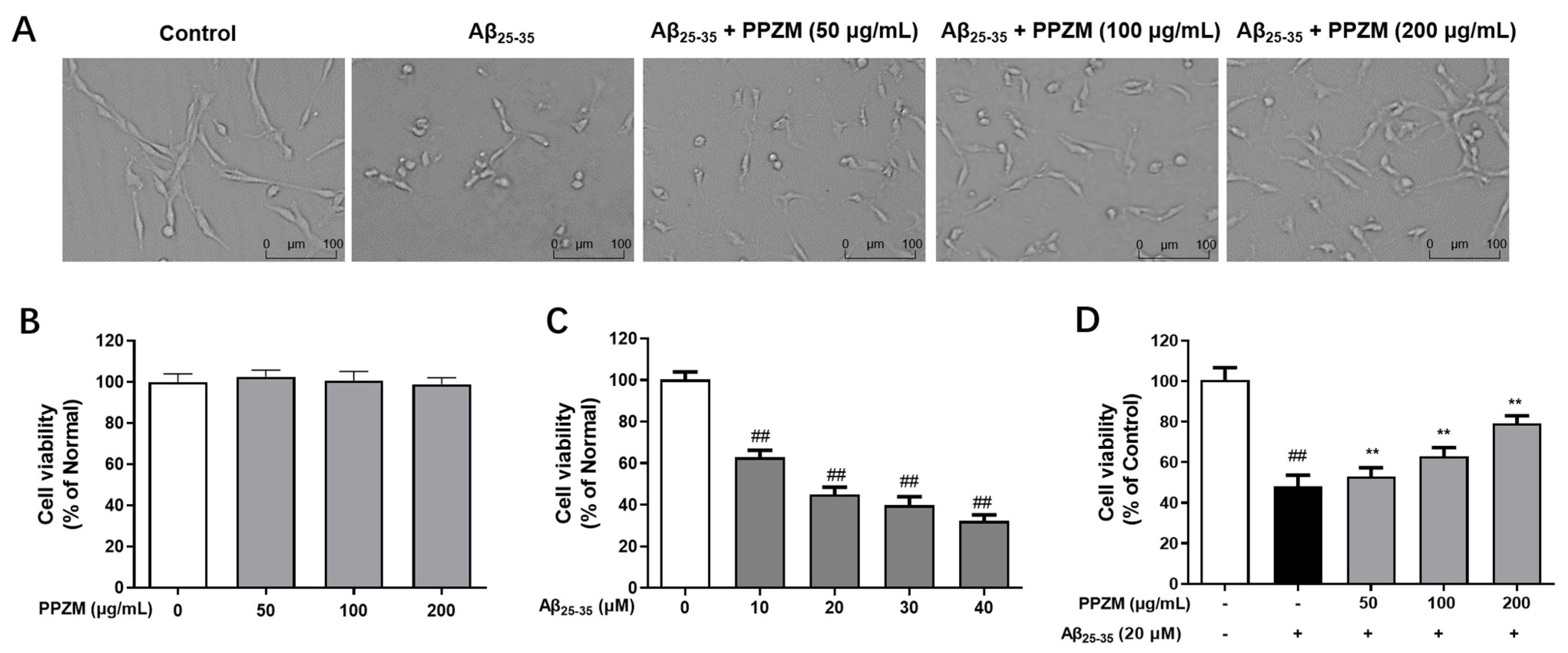 Molecules 28 01813 g002 Molecules 28 01813 g002