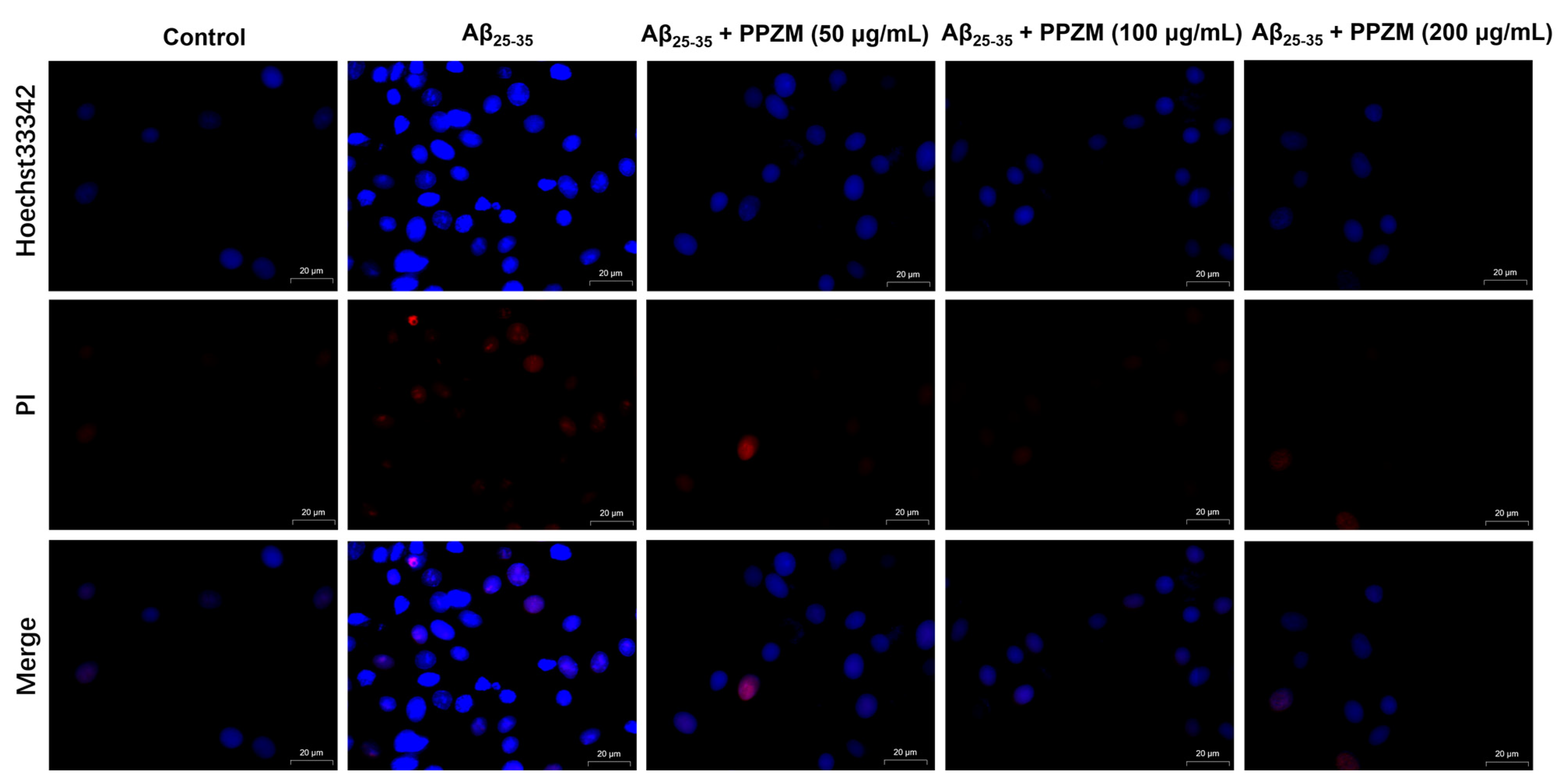 Molecules 28 01813 g004 Molecules 28 01813 g004