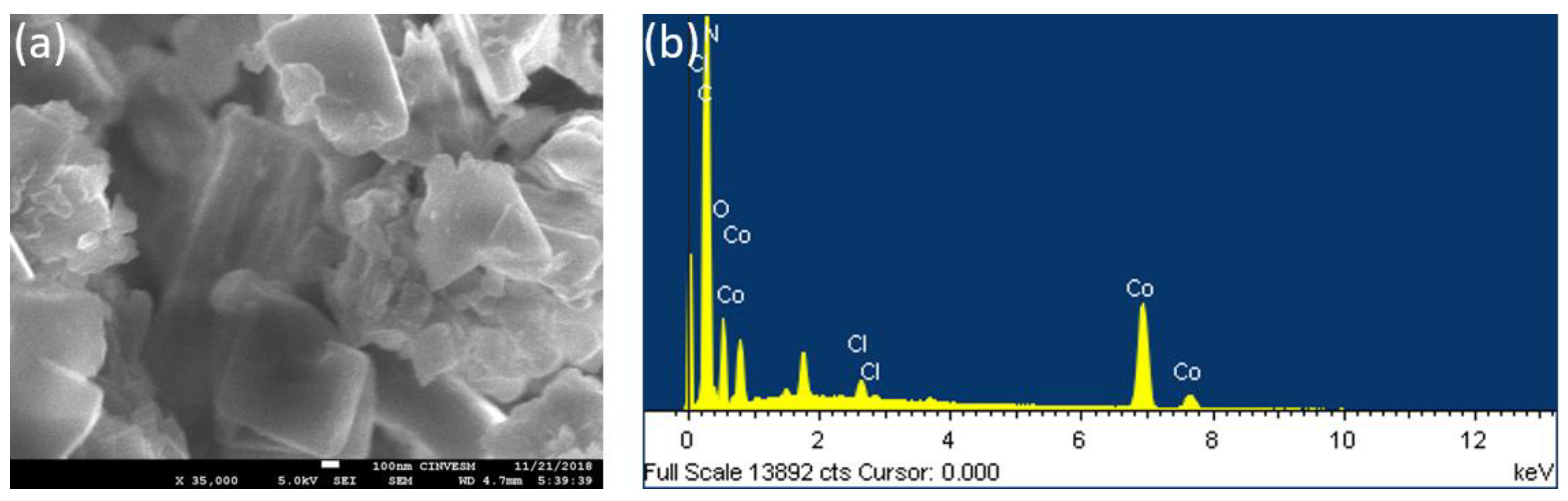 Molecules 28 01816 g005