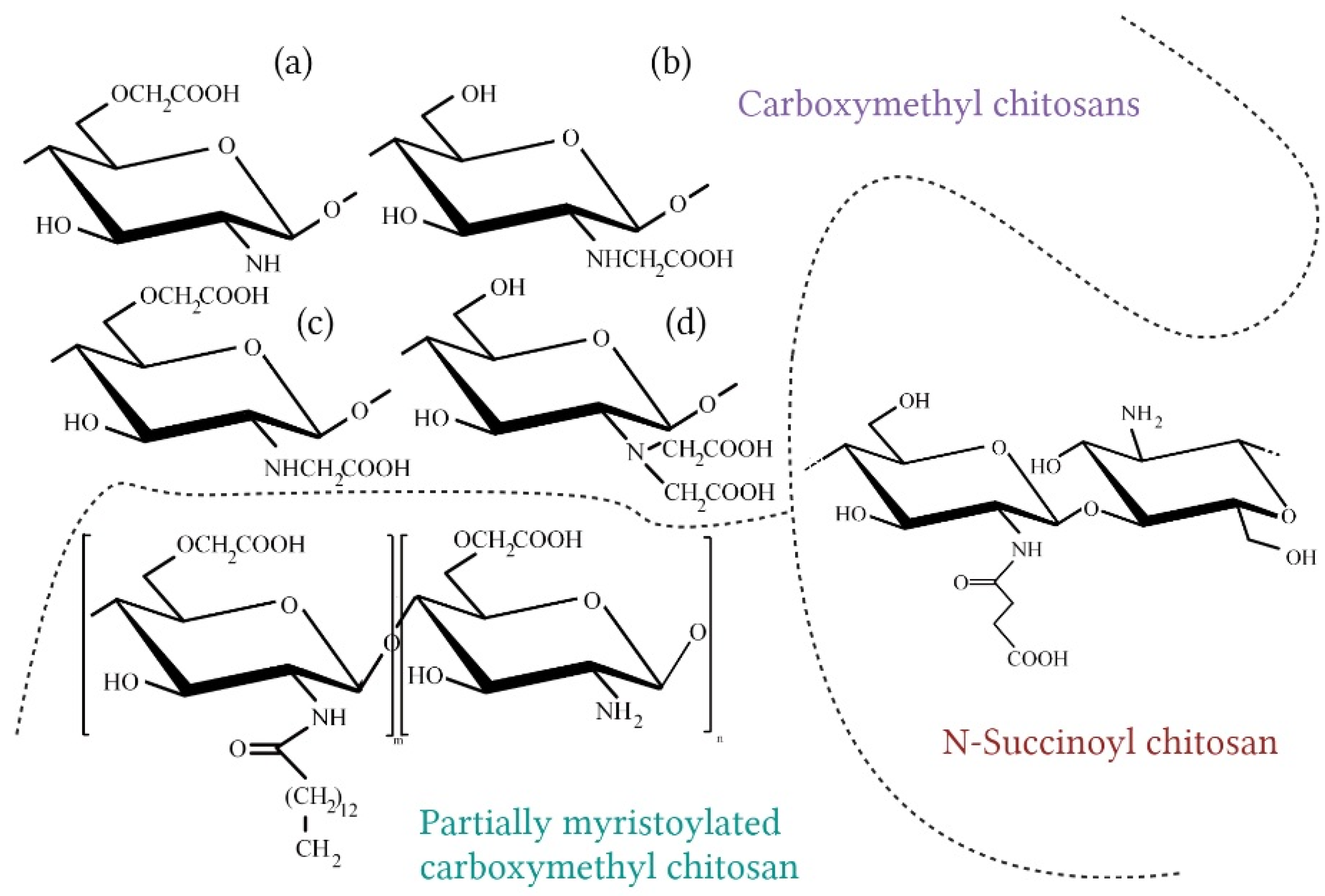 Molecules 28 01817 g007