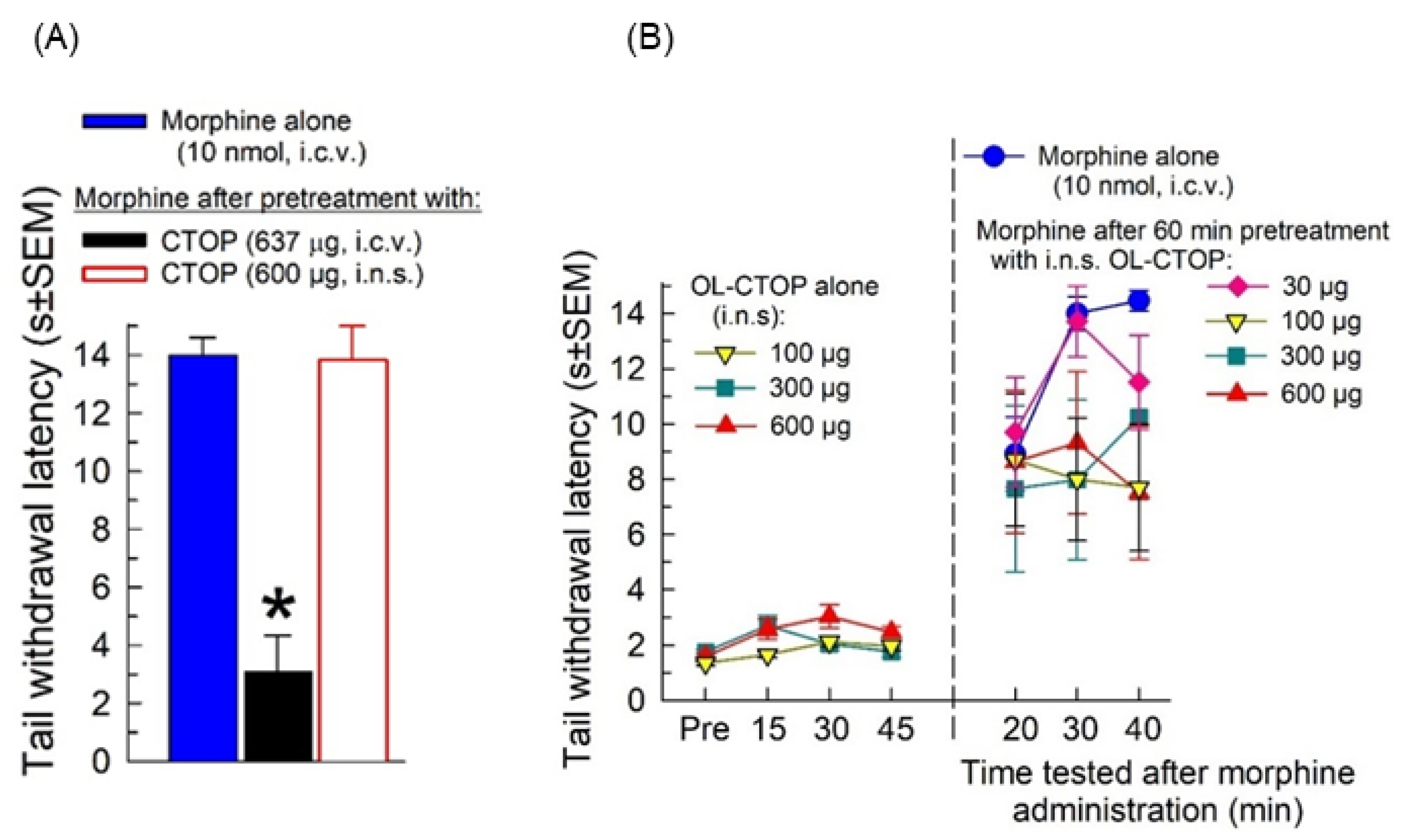 Molecules 28 01822 g004