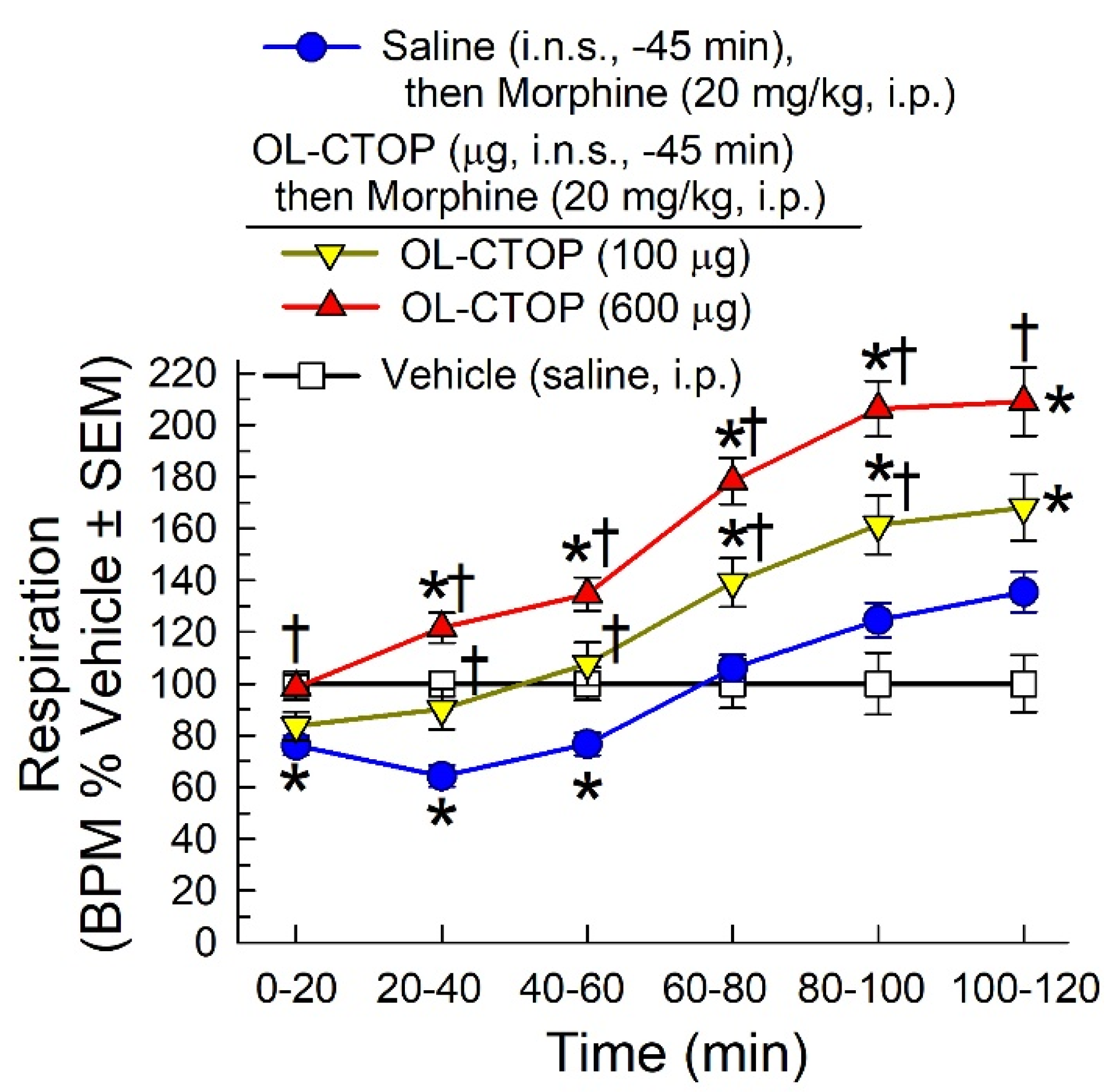 Molecules 28 01822 g006